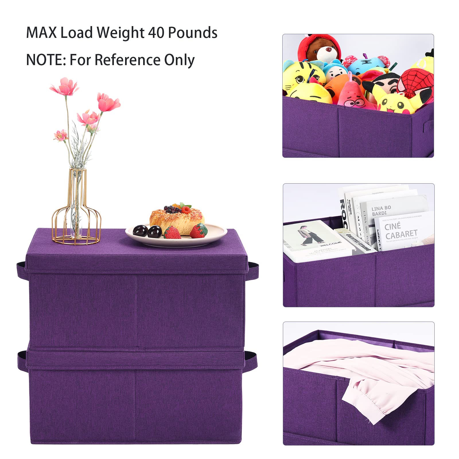 Storage Bins with Lids for Organizing (2 Count)