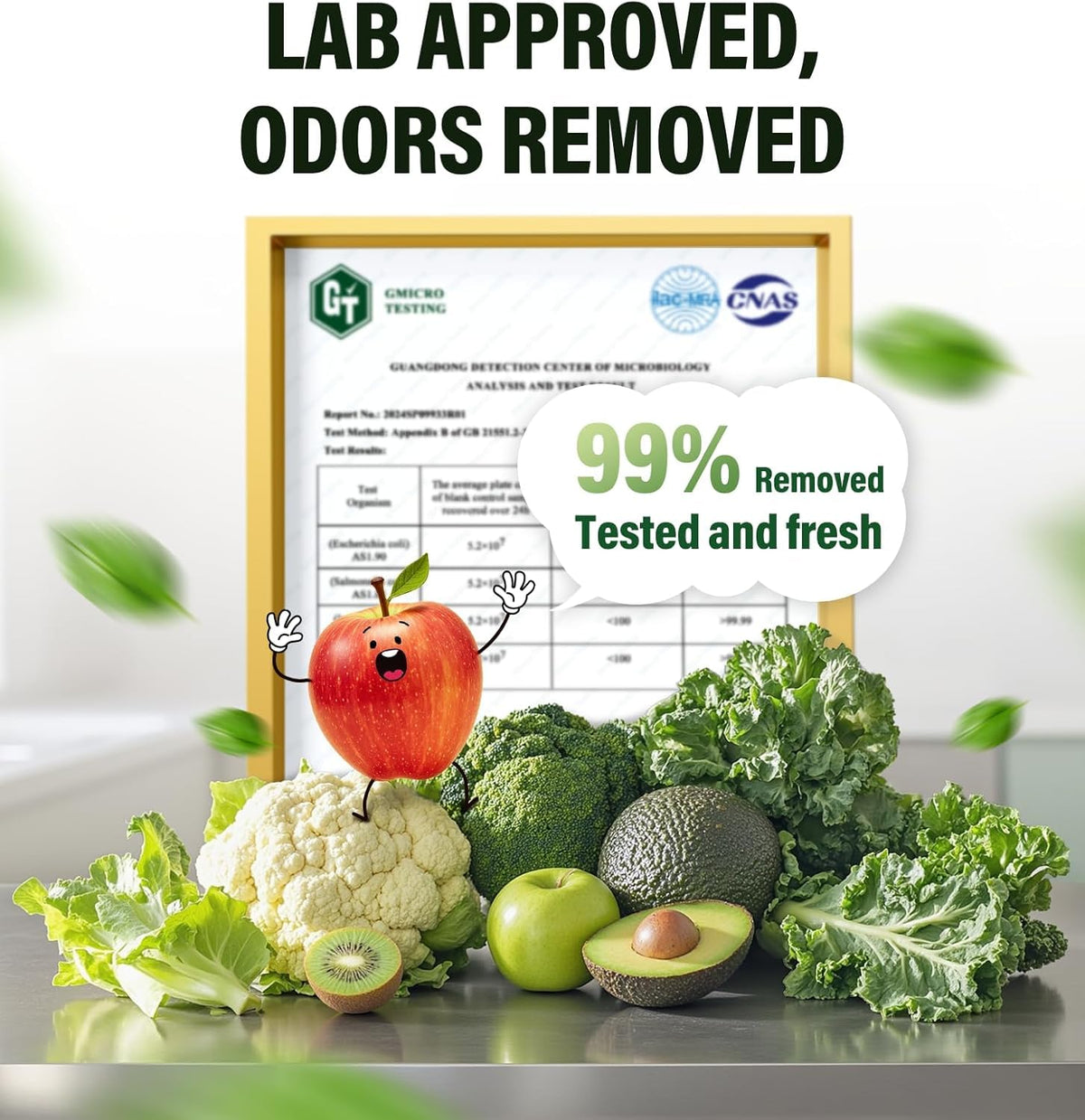 Fridge Deodorizer for Refrigerator