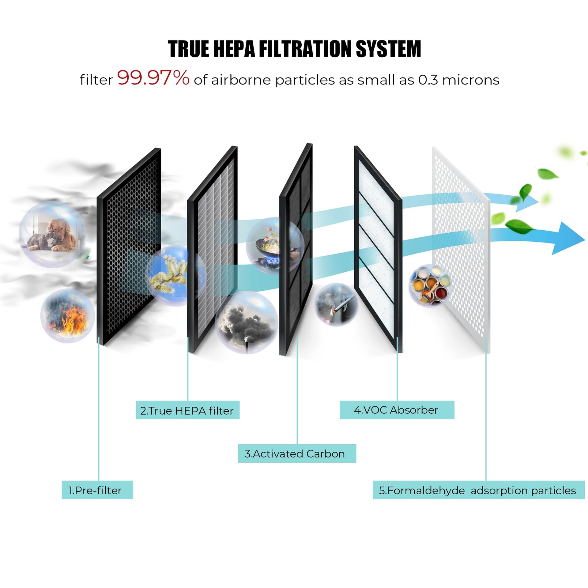 True HEPA Air Purifier for Large Rooms