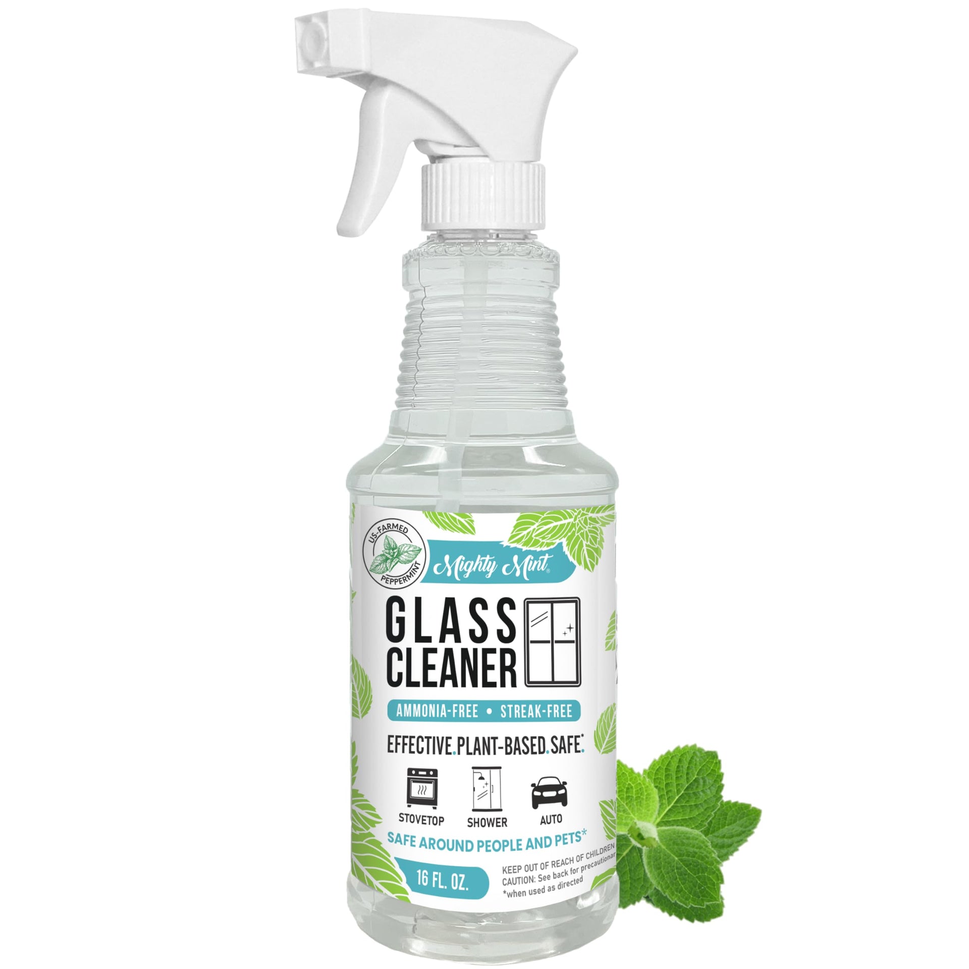 Glass Cleaner (16 Fl Oz)
