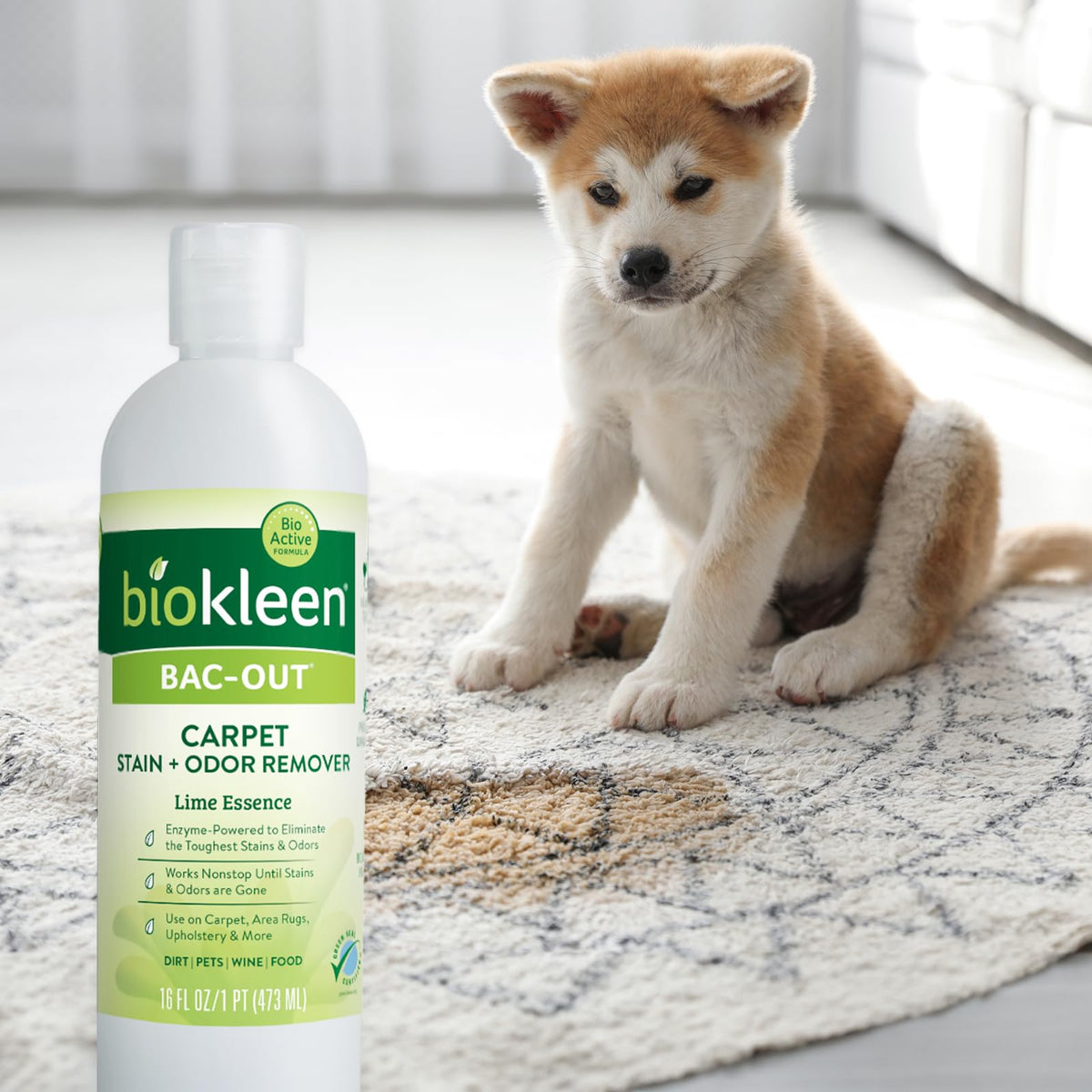 Bac Out Enzymatic Stain & Odor Remover for Carpet (64 Fl Oz)