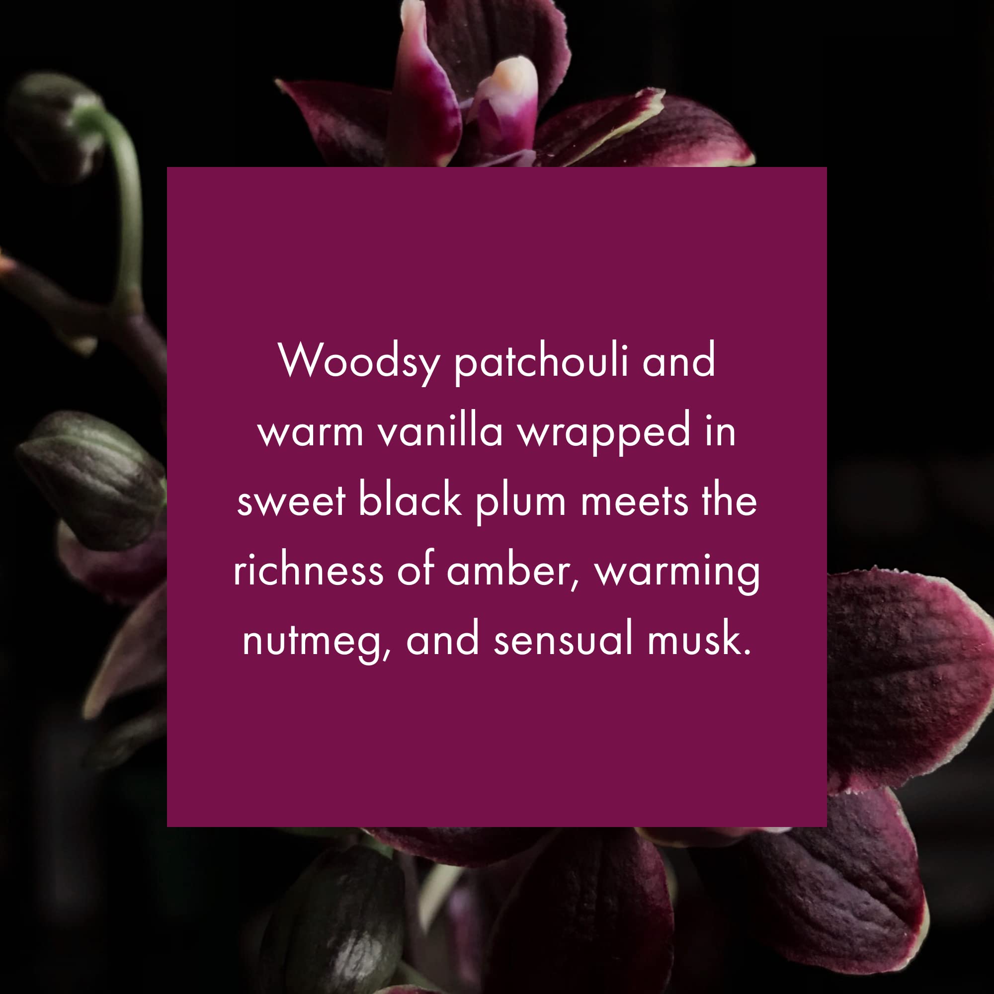 Whisper Essential Monthly Plug