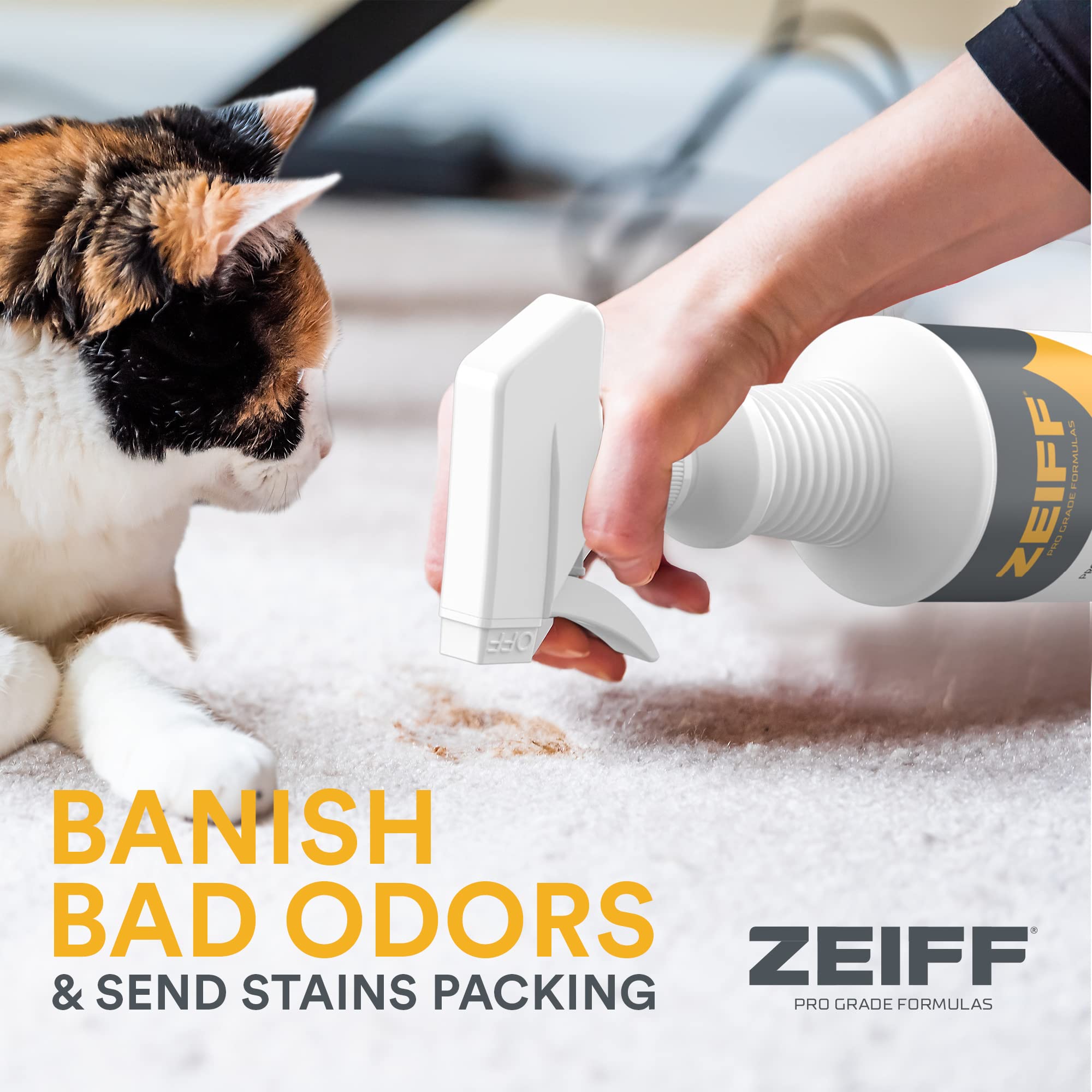 Pet Stain and Odor Remover (256 Fl Oz)