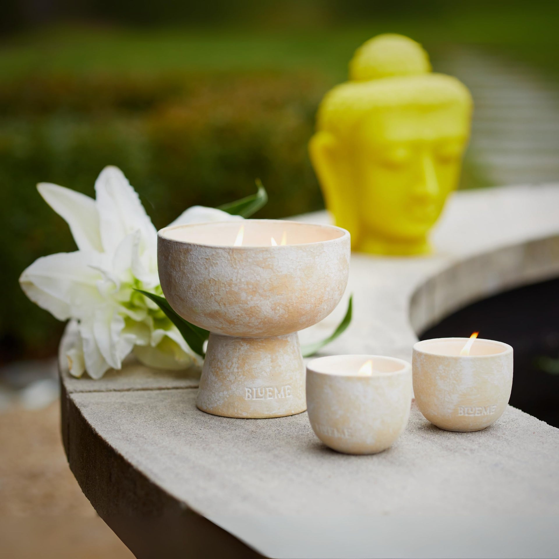 Wellness Candle Refill (12 Ounce)