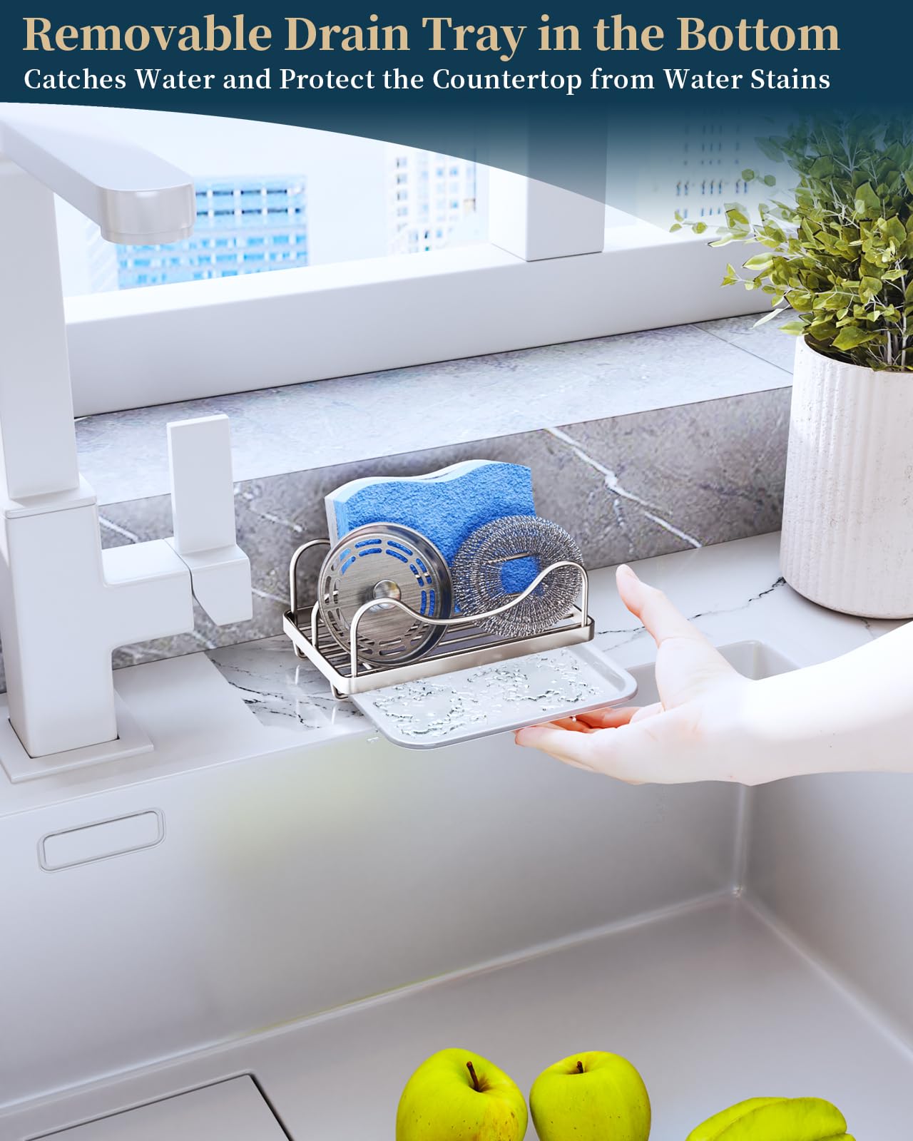Sponge Holder for Kitchen Sink