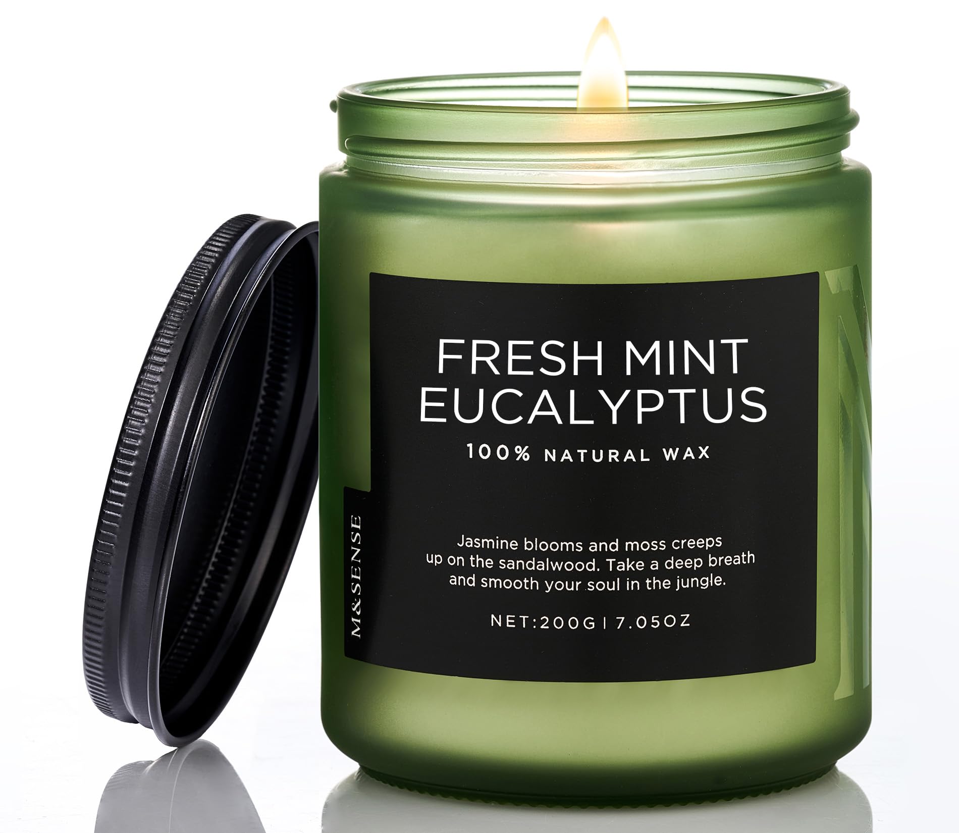 Eucalyptus & Mint Candles for Home Scented (6 Ounce)