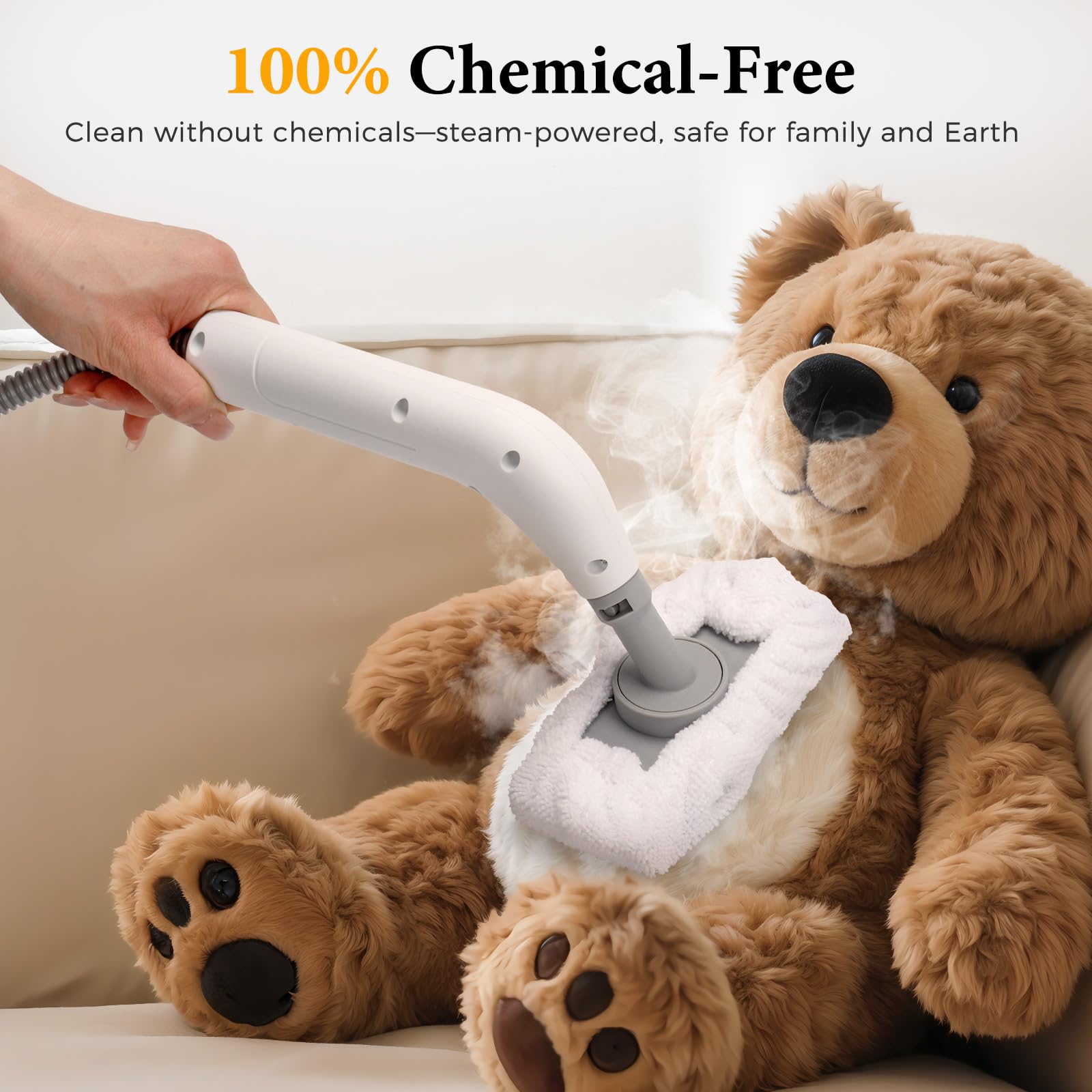 Steam Cleaner for Home