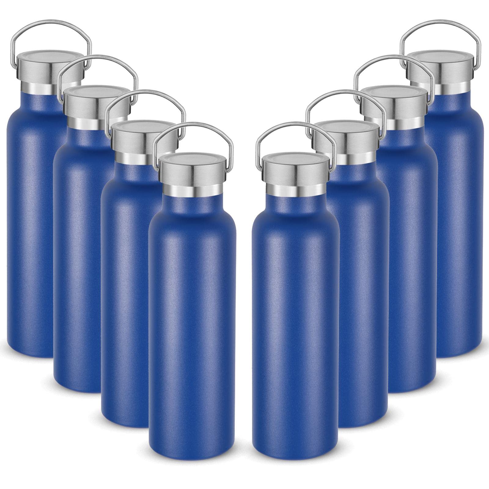 20 oz Insulated Water Bottles (8 Count)
