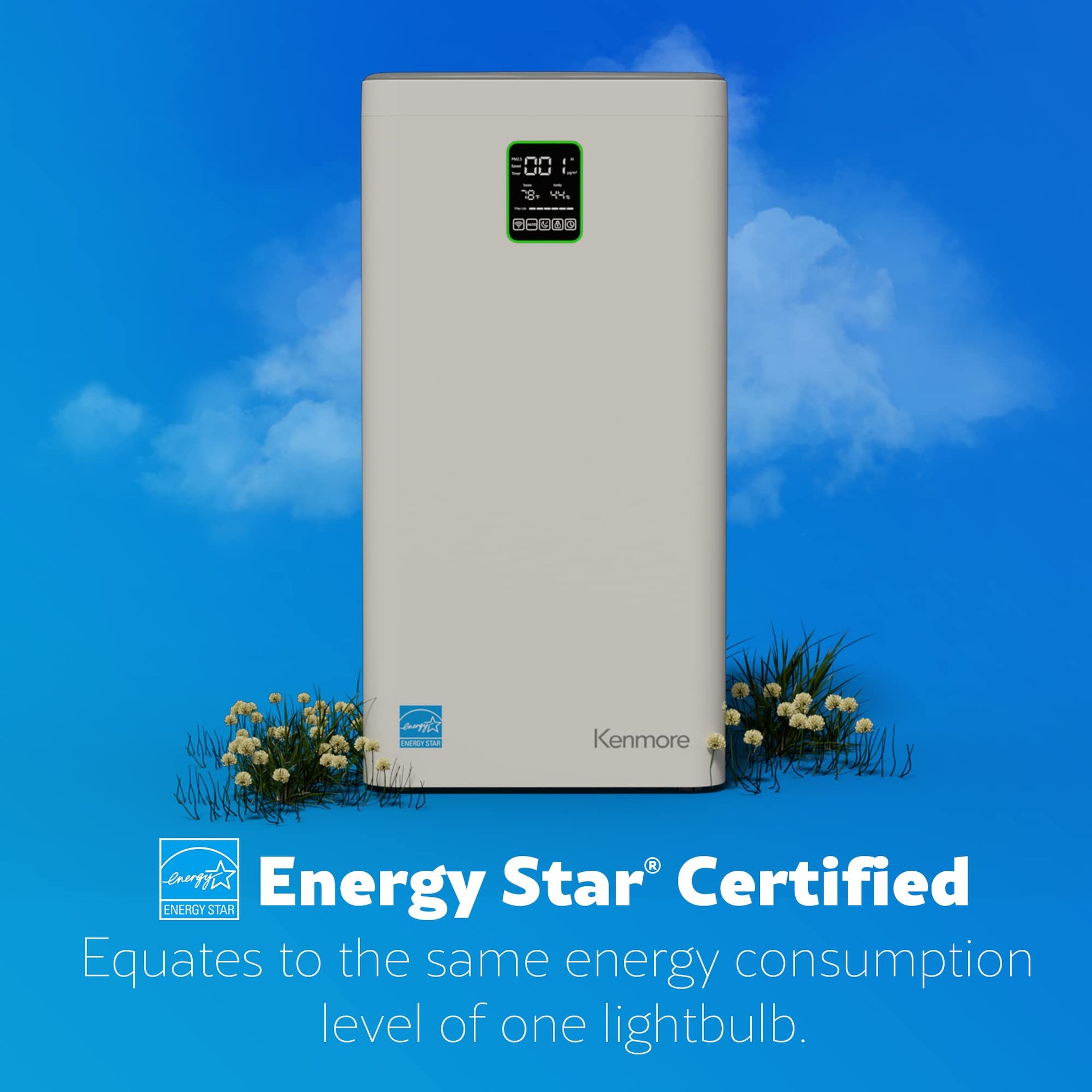 Air Purifier with H13 True HEPA Filter