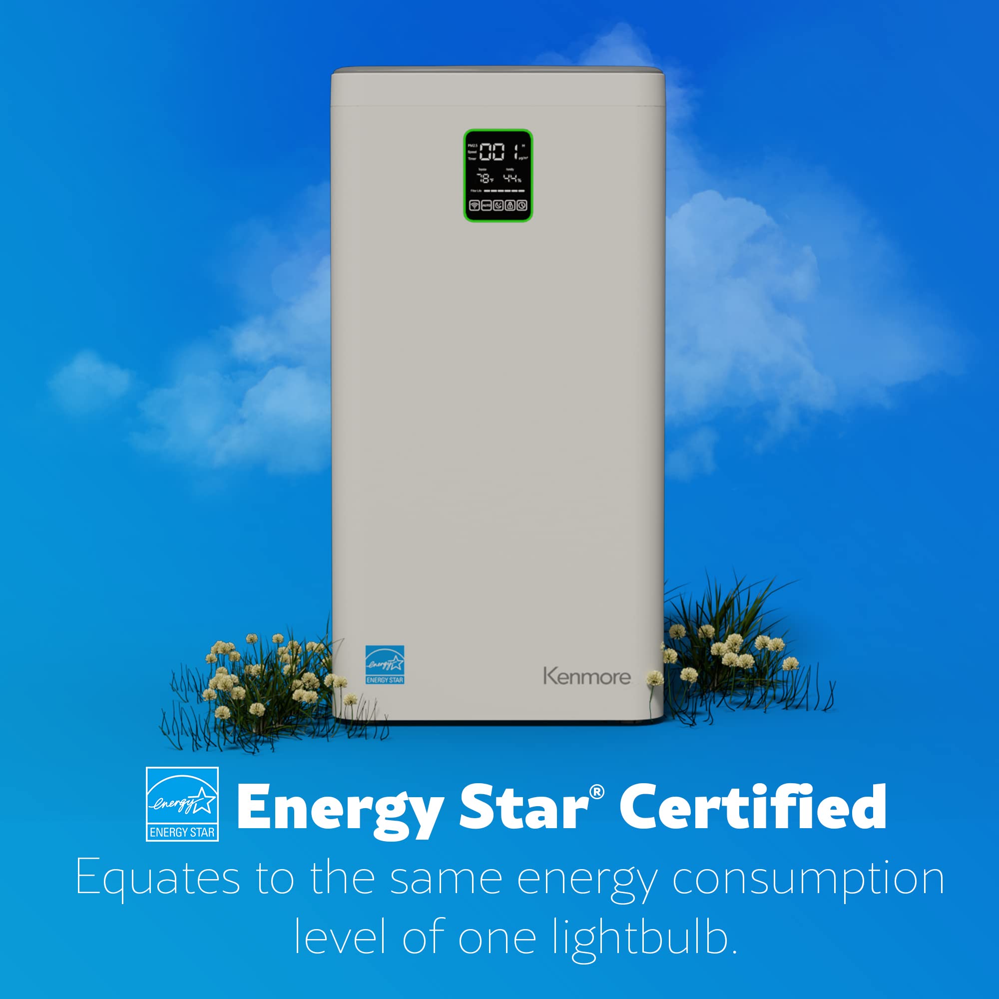Air Purifier with H13 True HEPA Filter