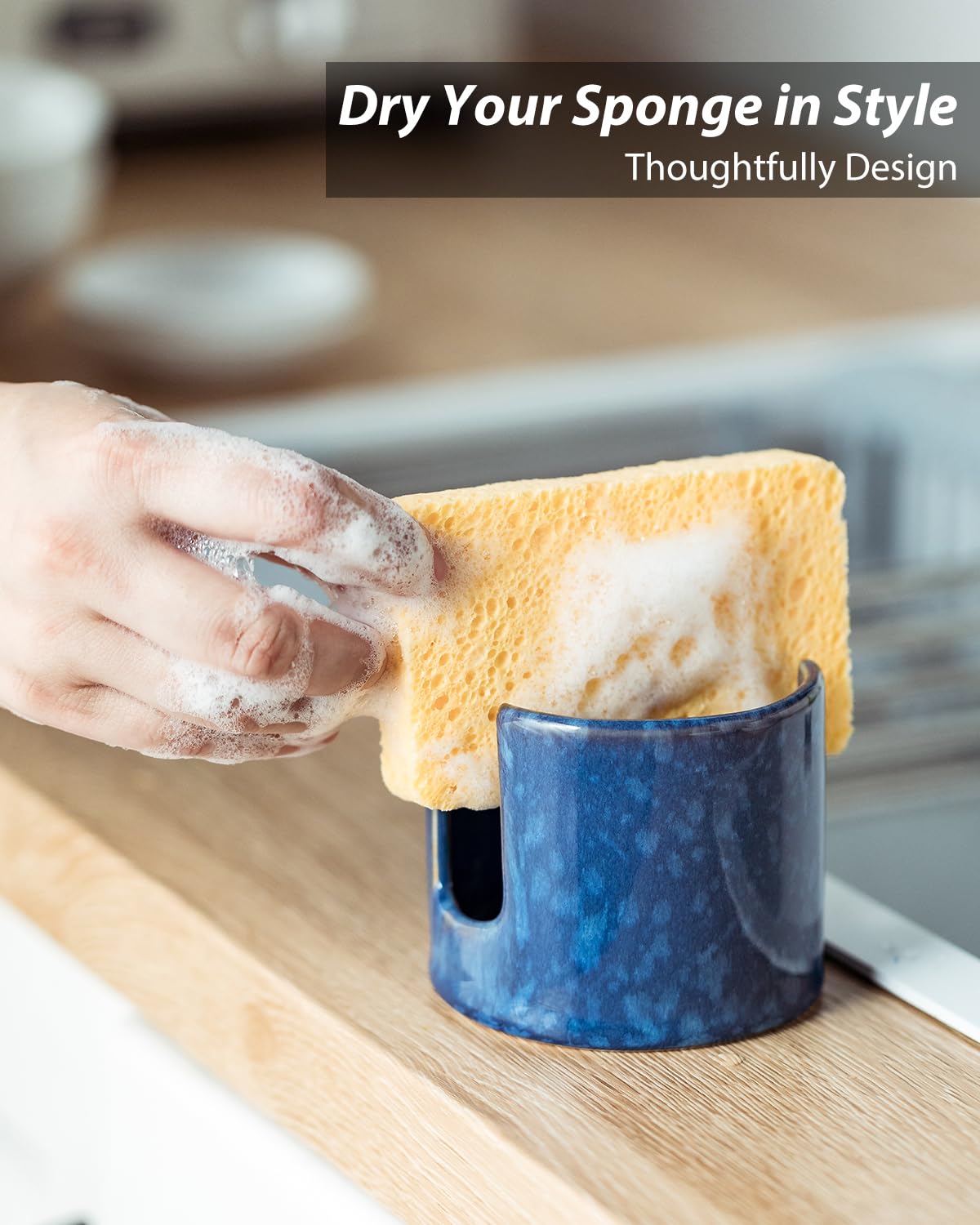 Kitchen Sponge Holder