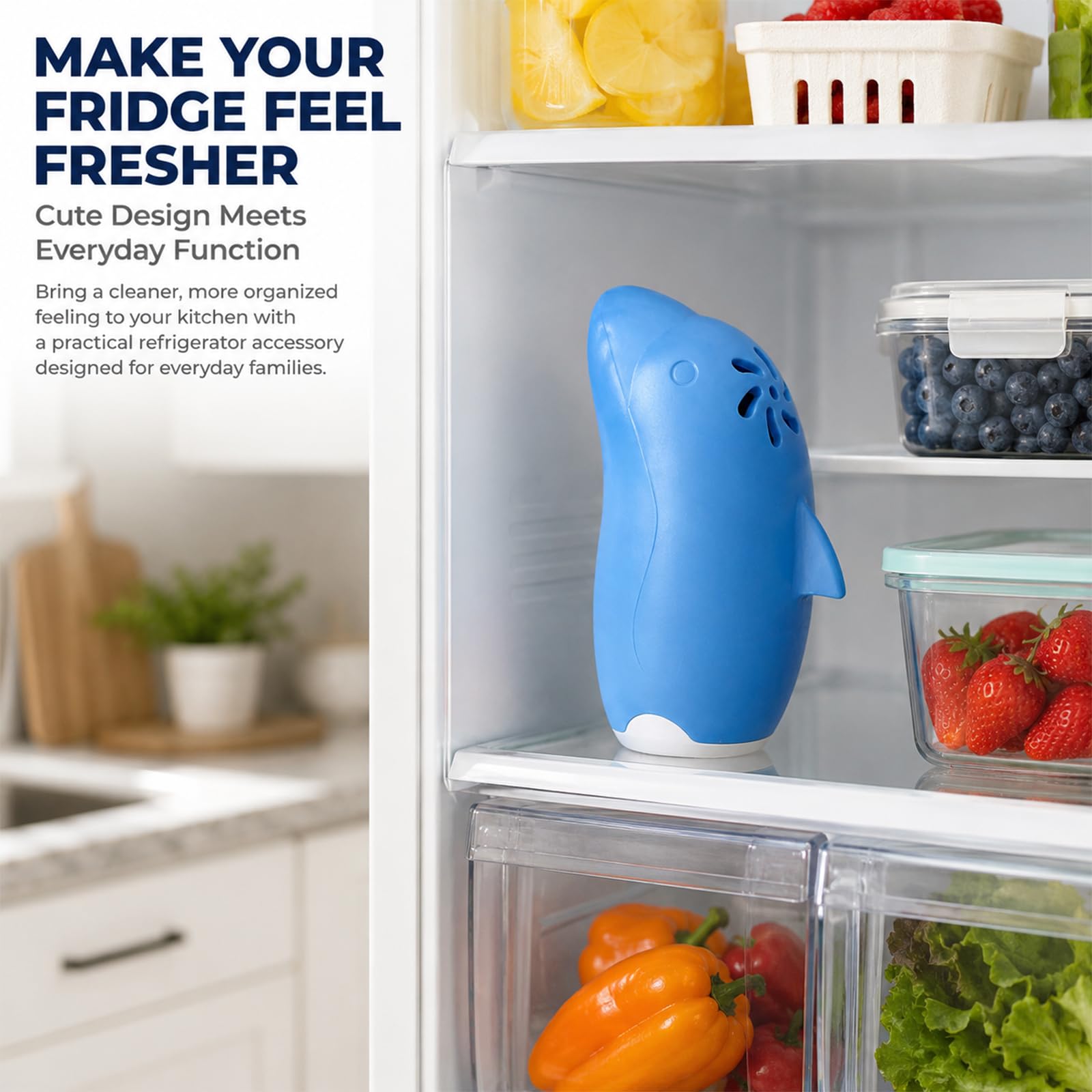 Refrigerator Deodorizer