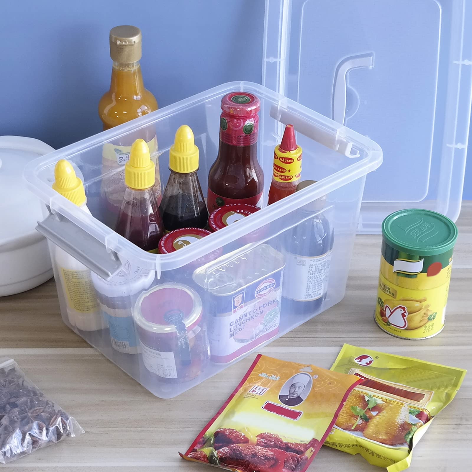 10 L Clear Plastic Storage Box (6 Count)