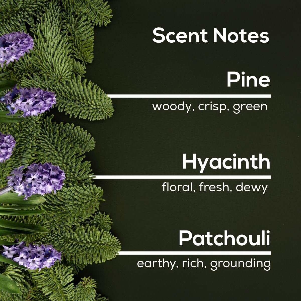 Sycamore Fir Plug in Air Freshener (2.72 Fl Oz)