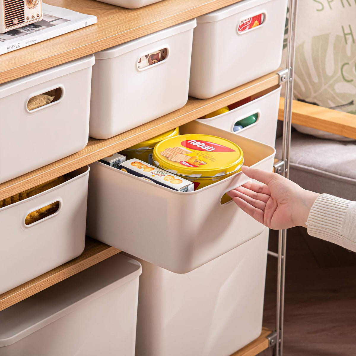 Plastic Storage Bins with lids (3 Count)