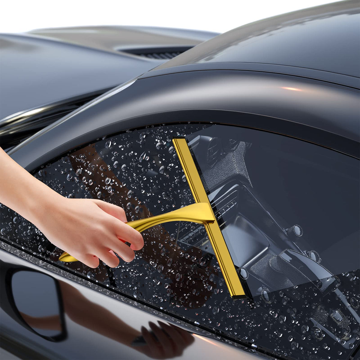 Shower Squeegee and Window Squeegee
