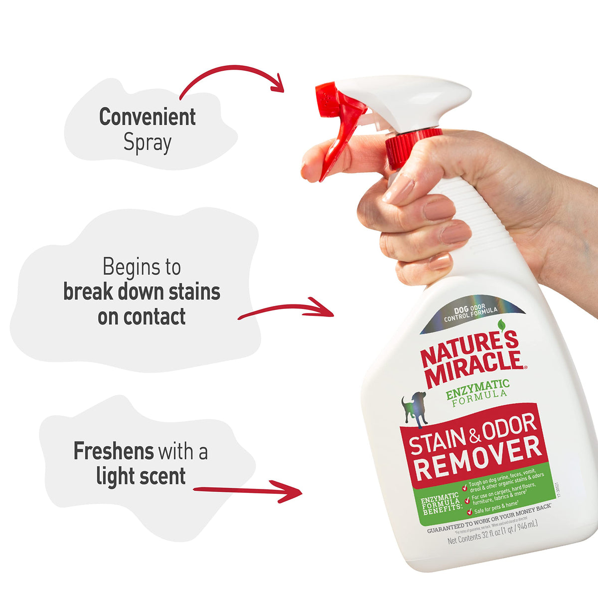 Nature’s Miracle Dog Stain & Odor Remover (32 Fl Oz)