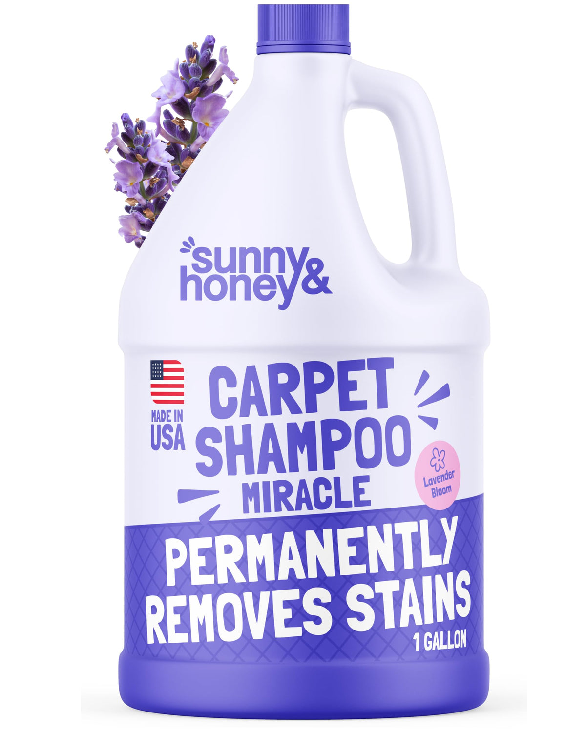 Carpet Cleaner Shampoo Solution for Machines (128 Fl Oz) - ModHome Supplies