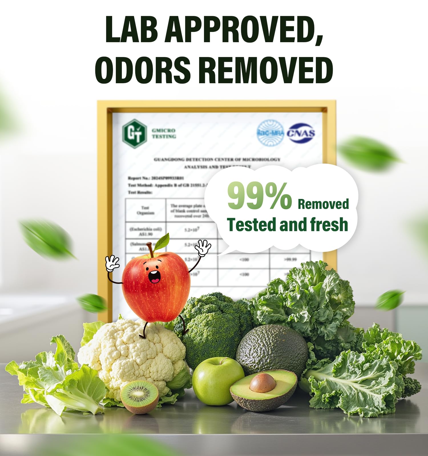 Fridge Deodorizer for Refrigerator
