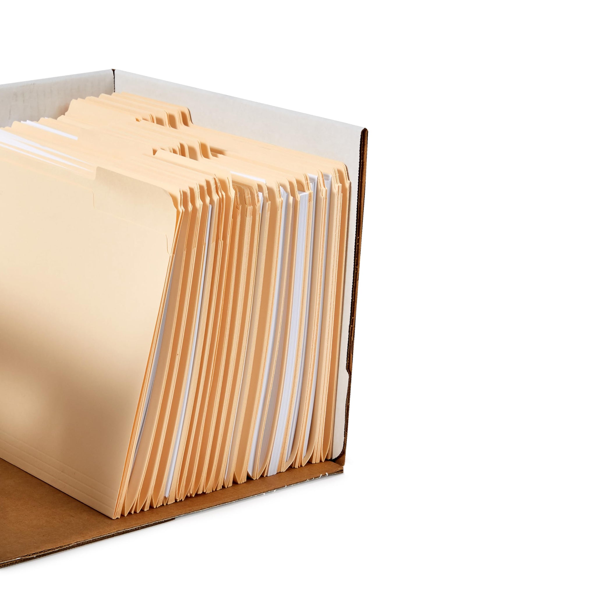 Medium Duty Storage (12 Count)