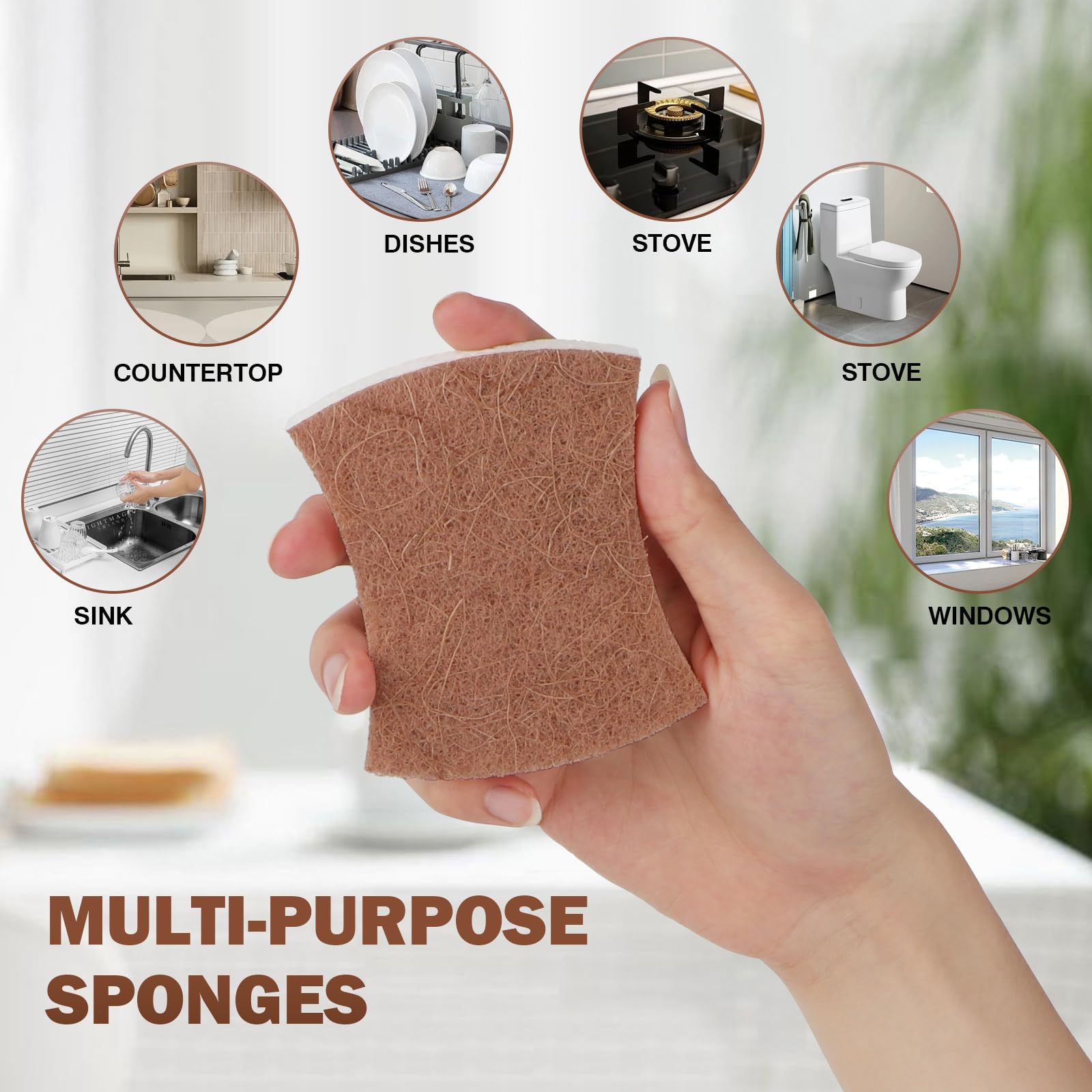 Non Scratch Scrub Sponge (24 Count) - ModHome Supplies