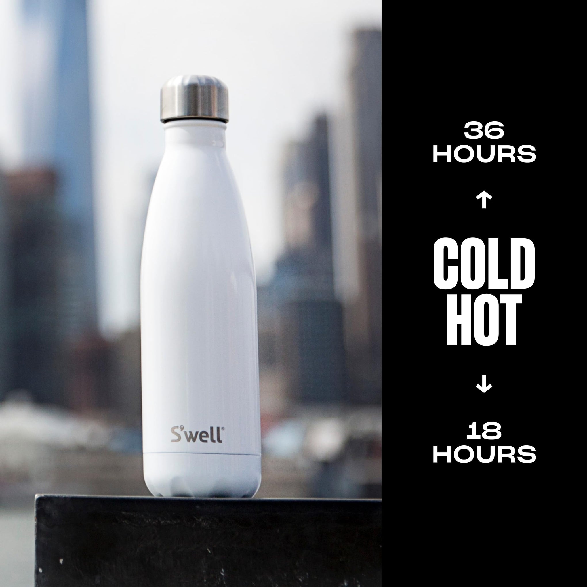 Stainless Steel Water Bottle