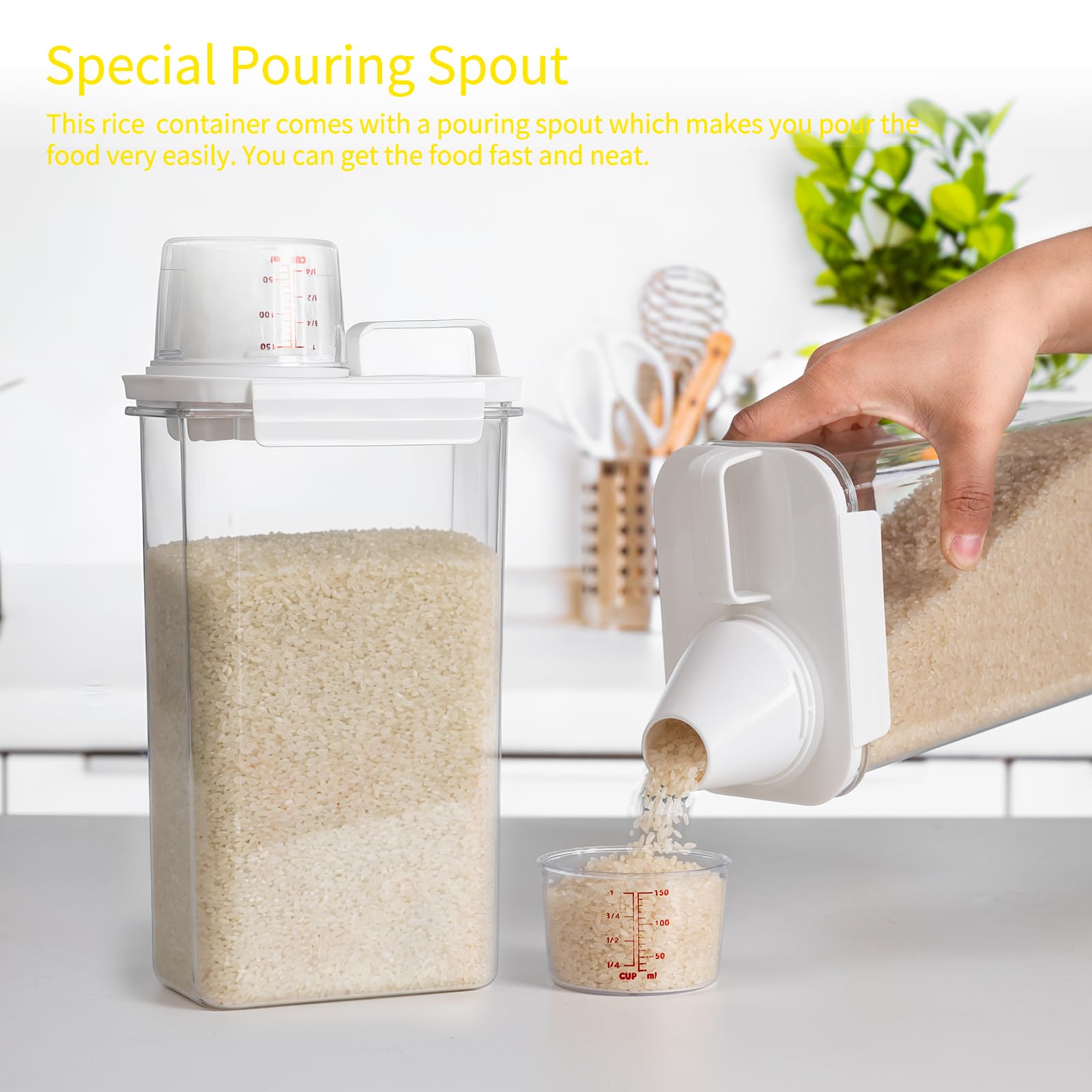 Rice Container