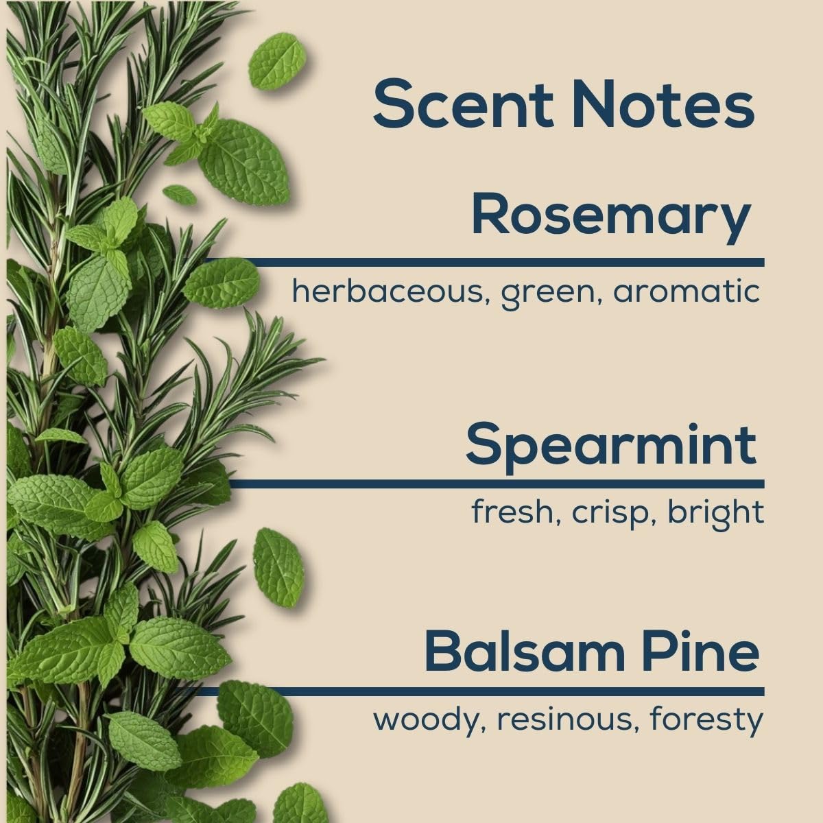 Minty Rosemary Plug in Air Freshener (2.72 Fl Oz)
