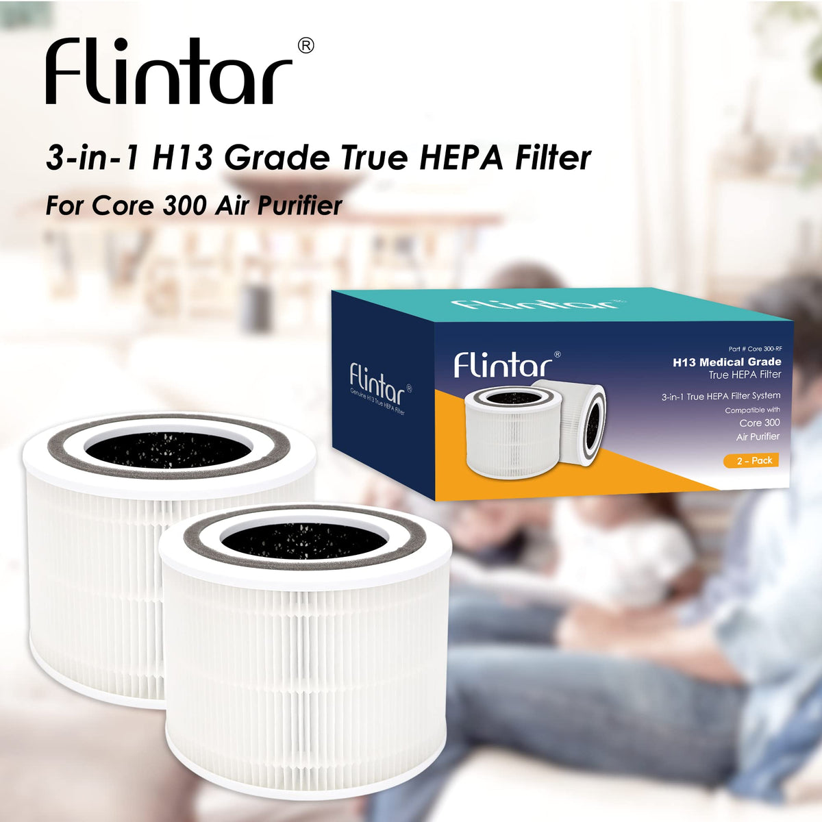 Core 300 Replacement Filters (2 Count)