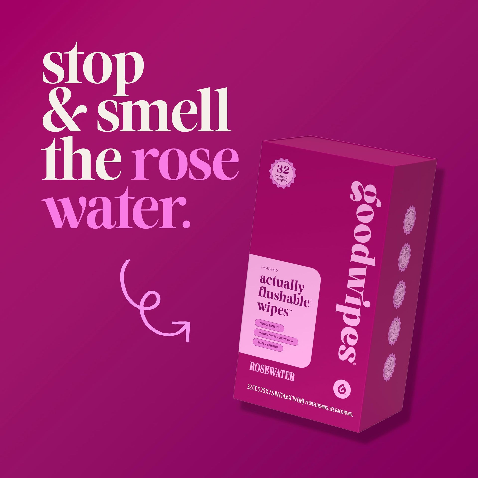 Flushable Wipes for Women (32 Count)