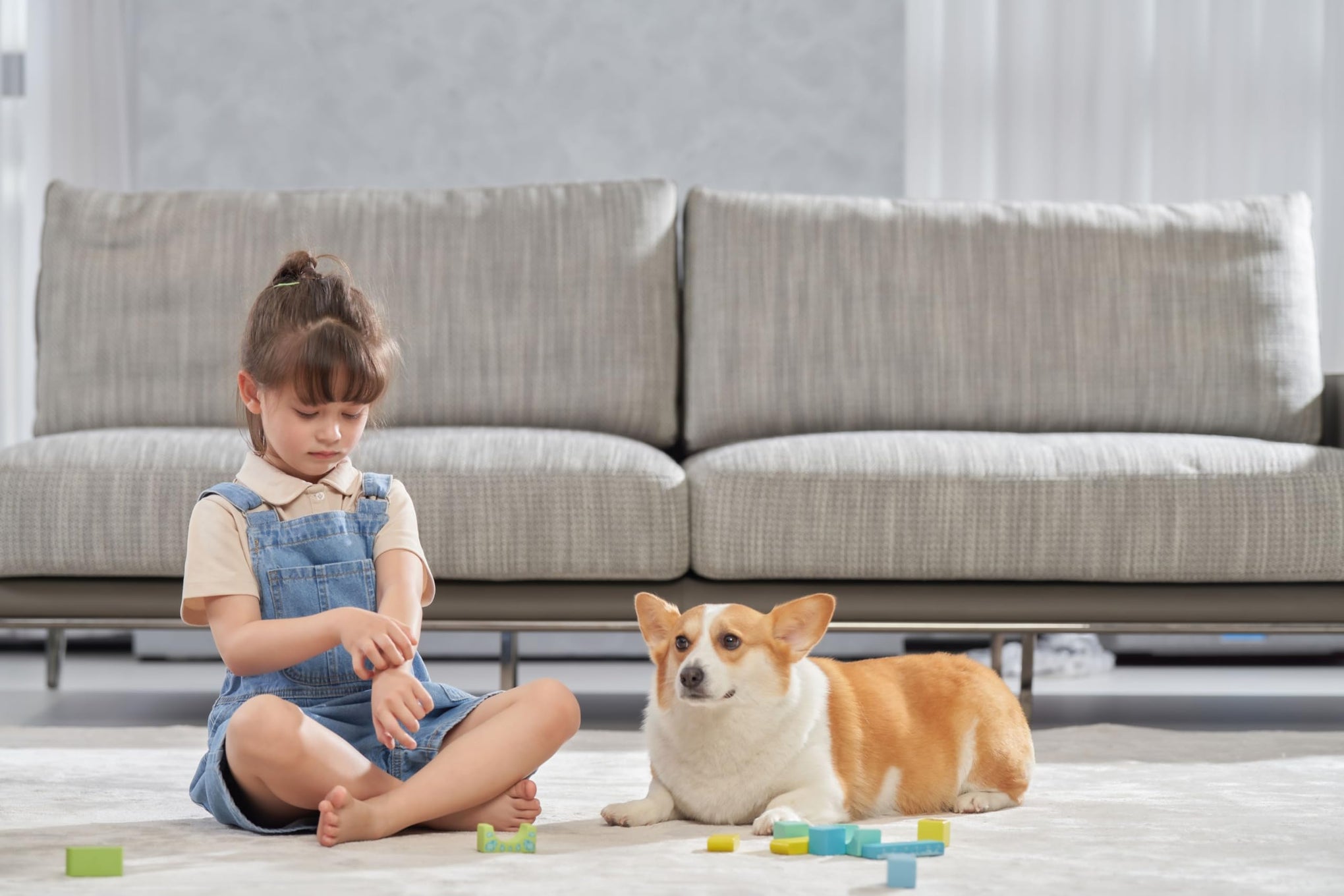 WB81 Mattress Vacuum Cleaner