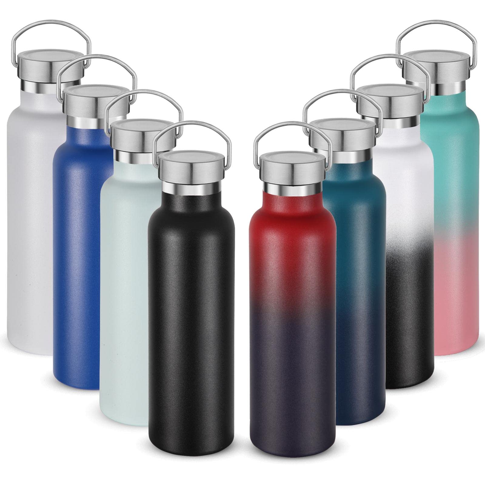 20 oz Insulated Water Bottles (8 Count)
