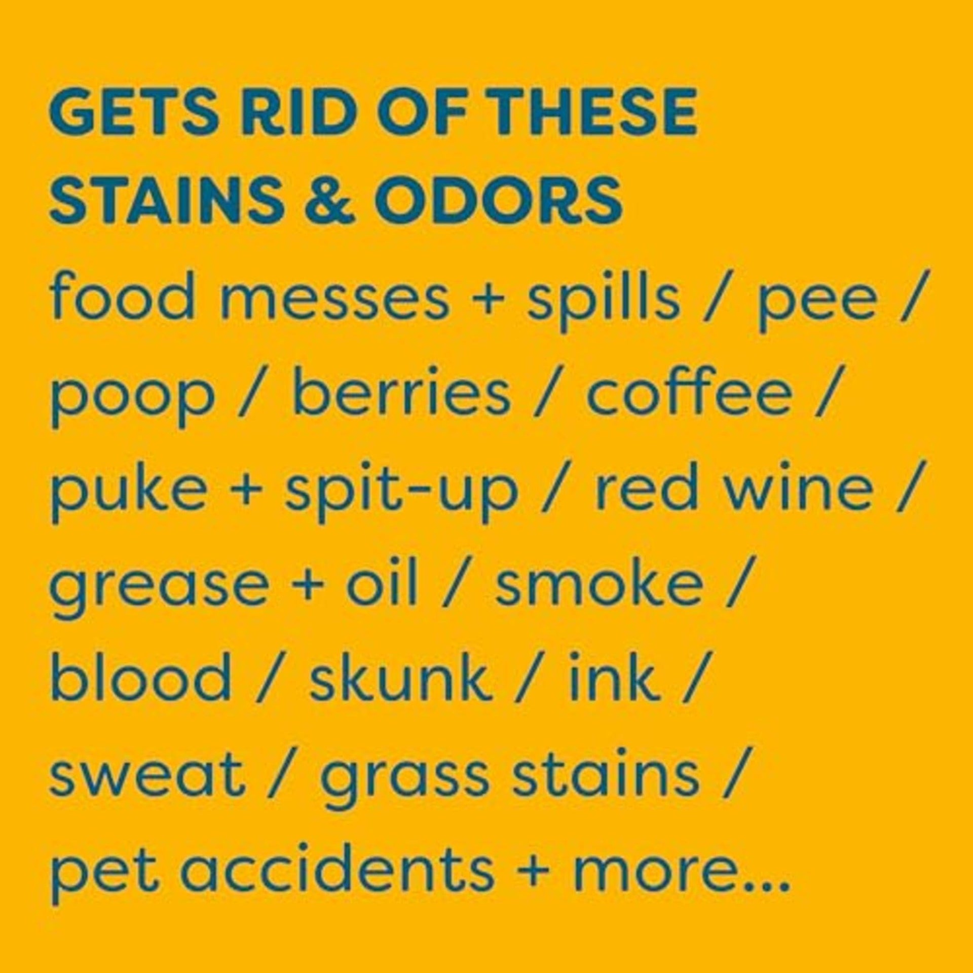 Stain & Odor Remover for Carpet (32 Fl Oz)