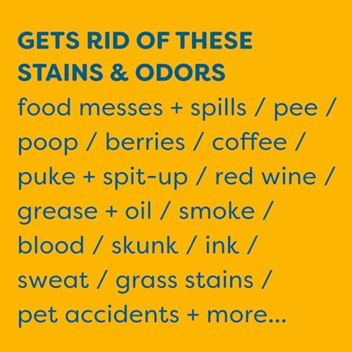 Stain & Odor Remover for Carpet (32 Fl Oz)