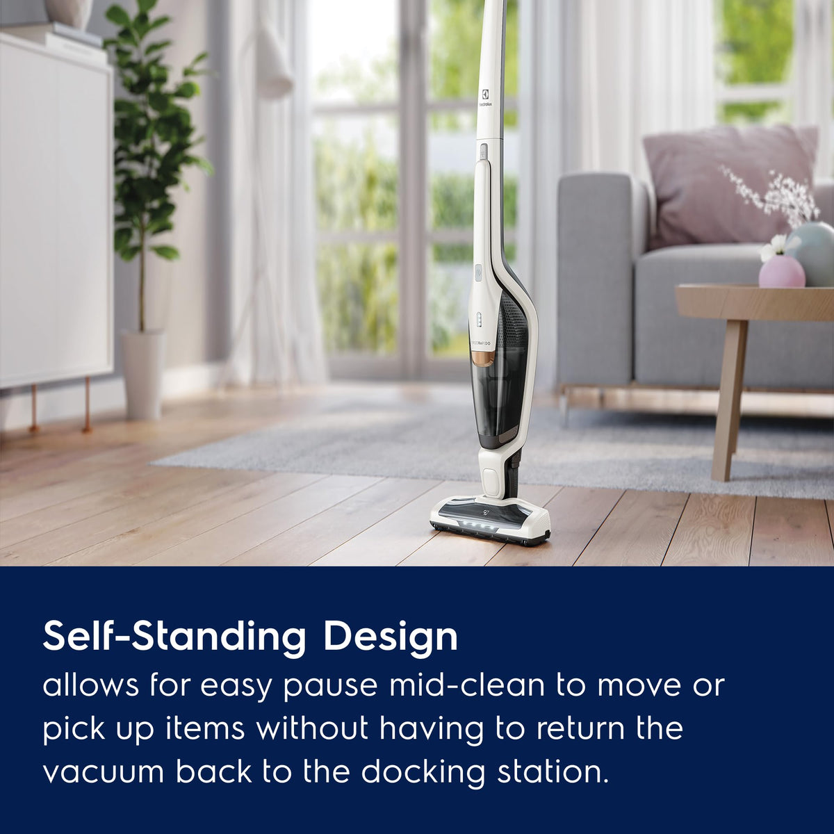Ergorapido Cordless 2
