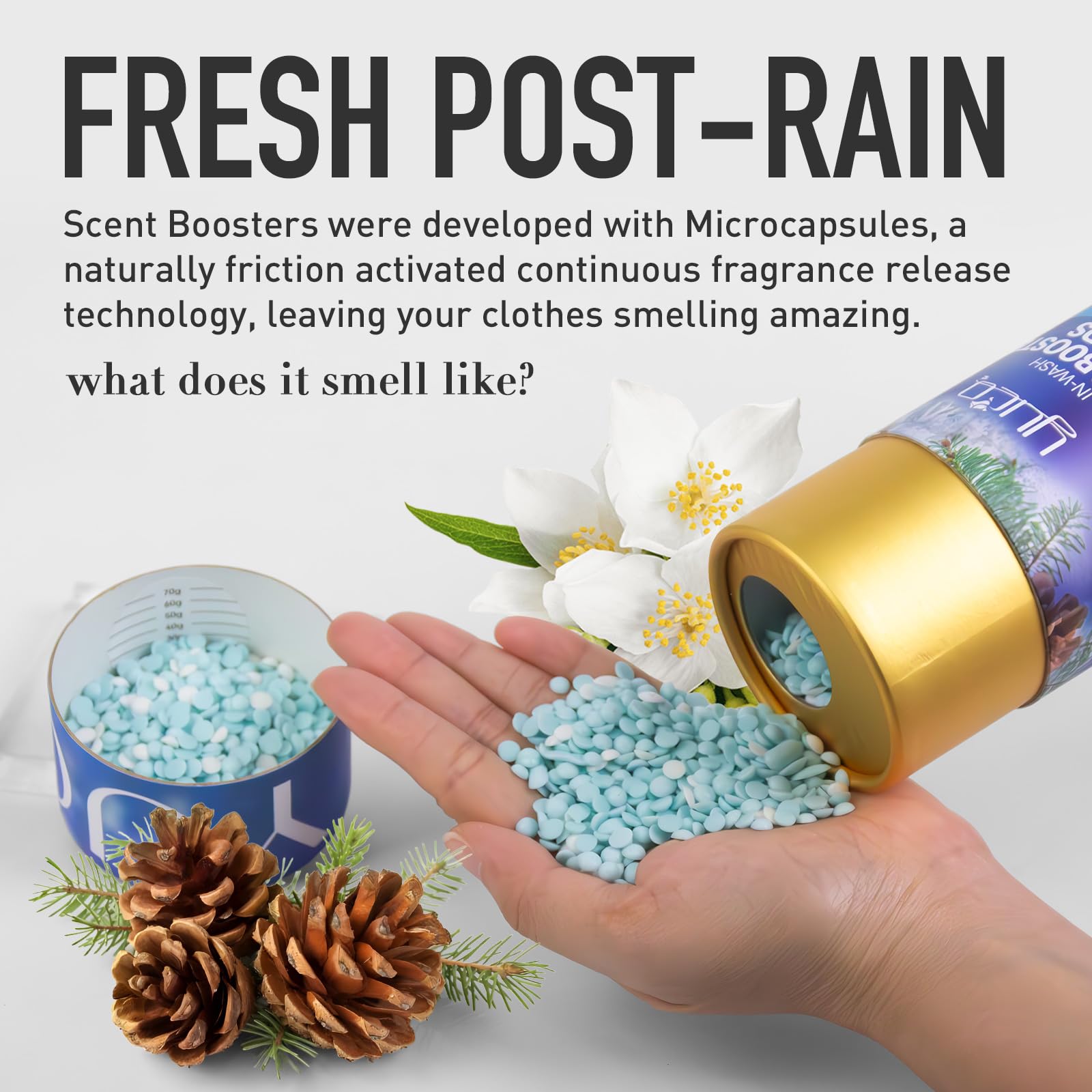 In Wash Laundry Scent Booster Beads (12.6 Ounce)