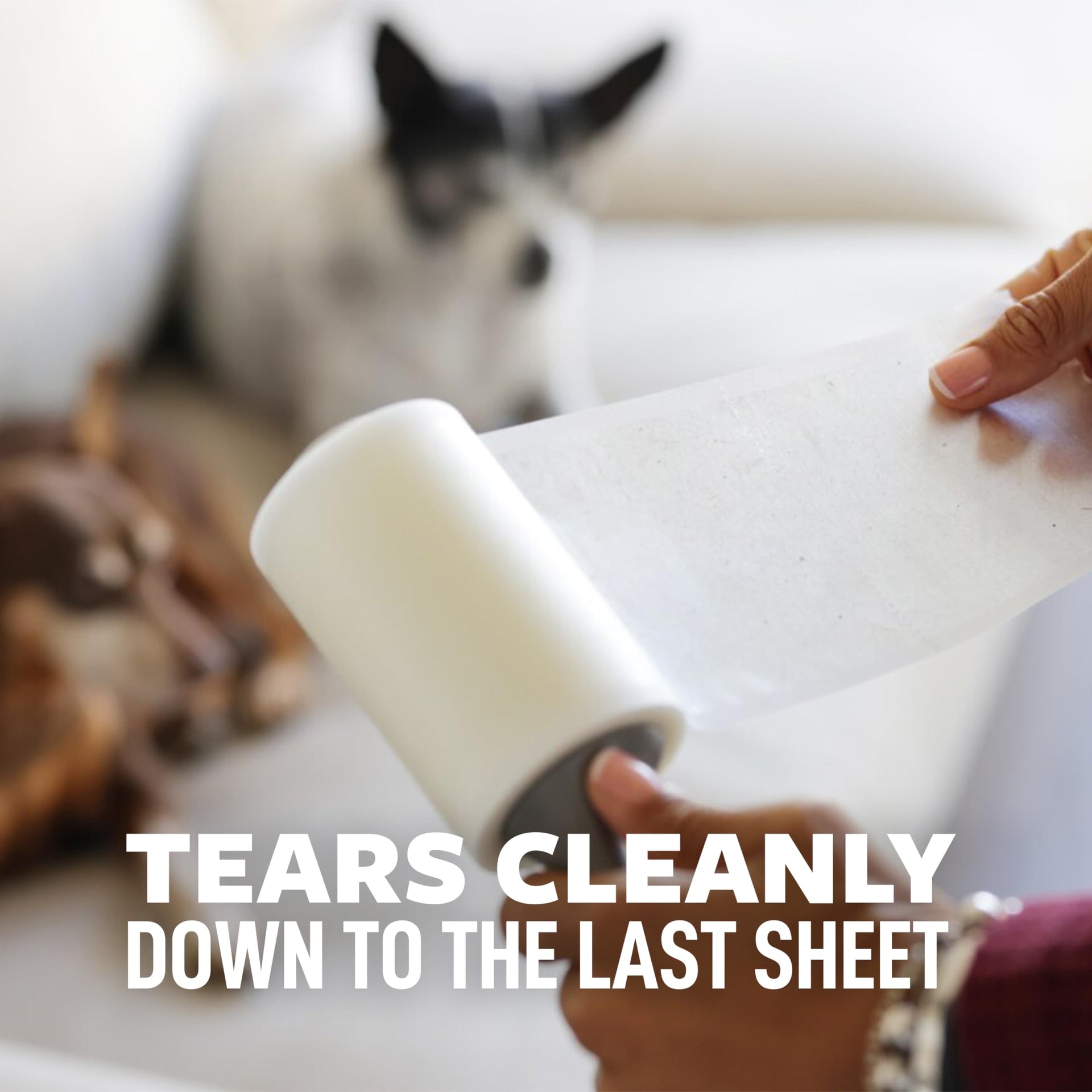 Pet Extra Sticky Hair Lint Roller (6 Count)