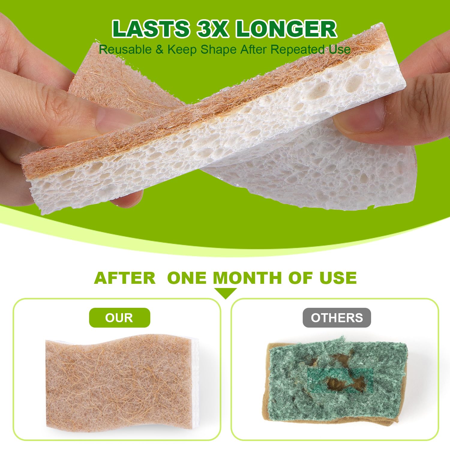Kitchen Dish Sponges (24 Count)