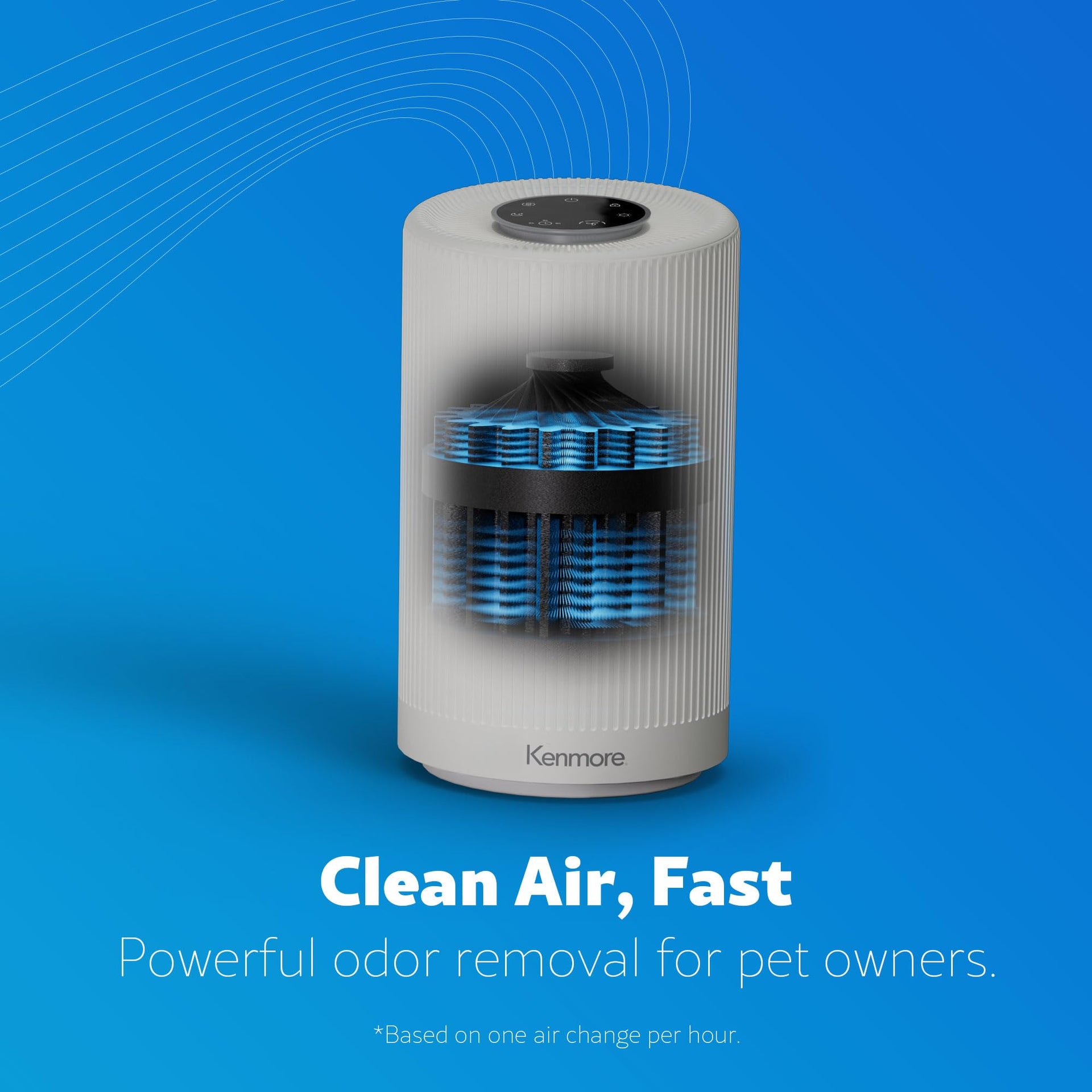 Air Purifier with H13 True HEPA Filter