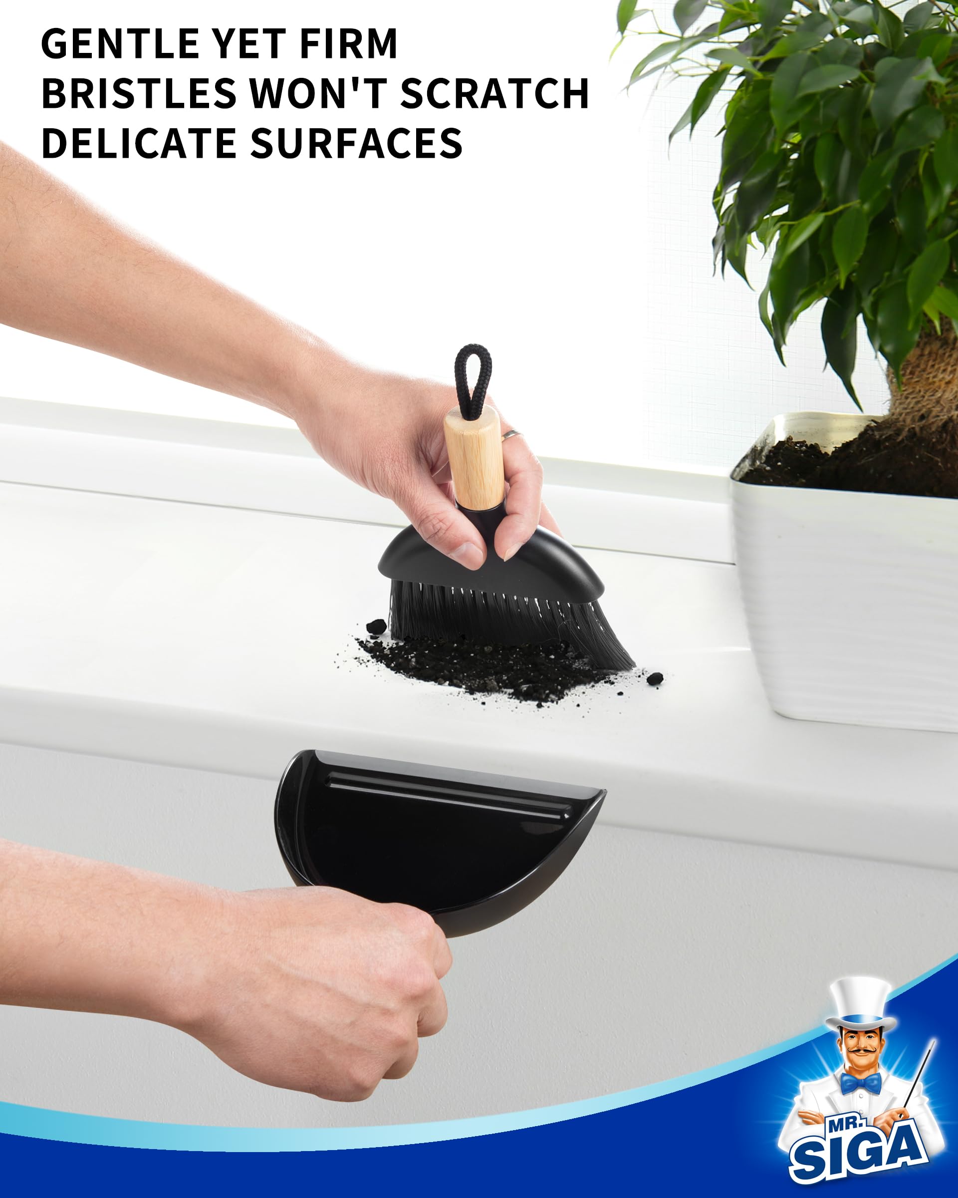 Mini Dustpan and Brush Set