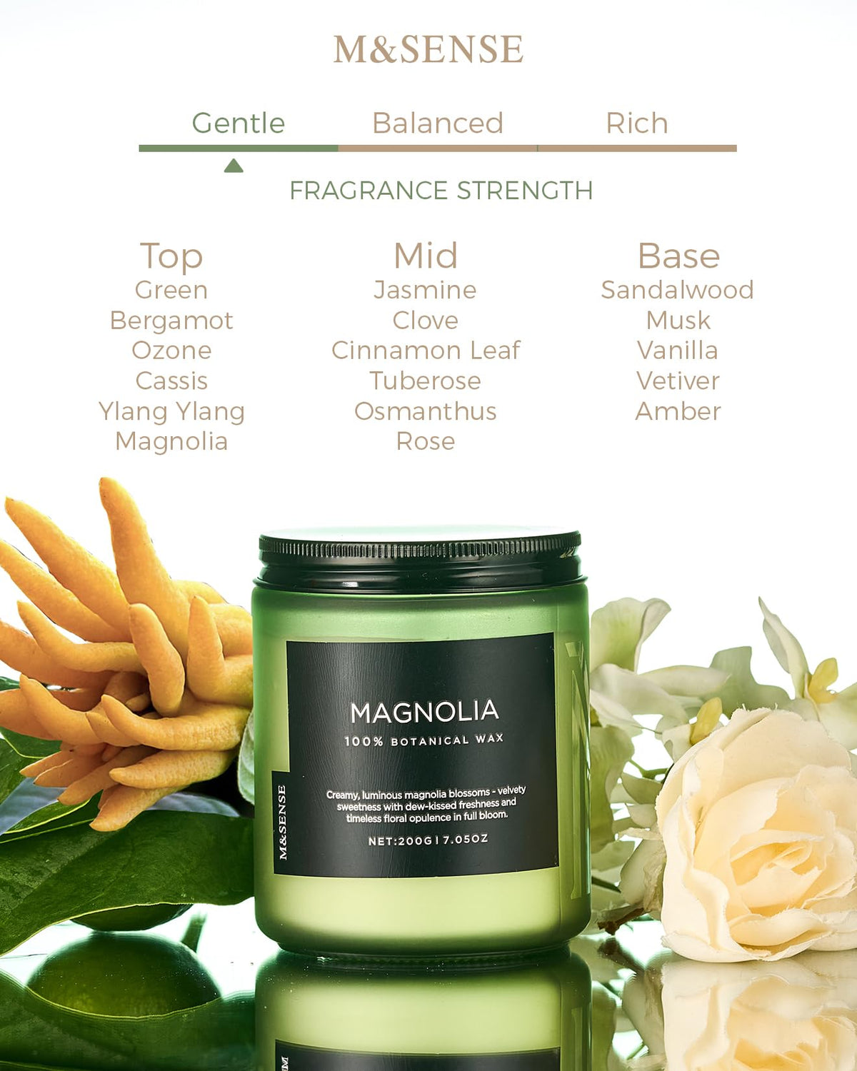 Magnolia Jasmine Scented Candles (6 Ounce)