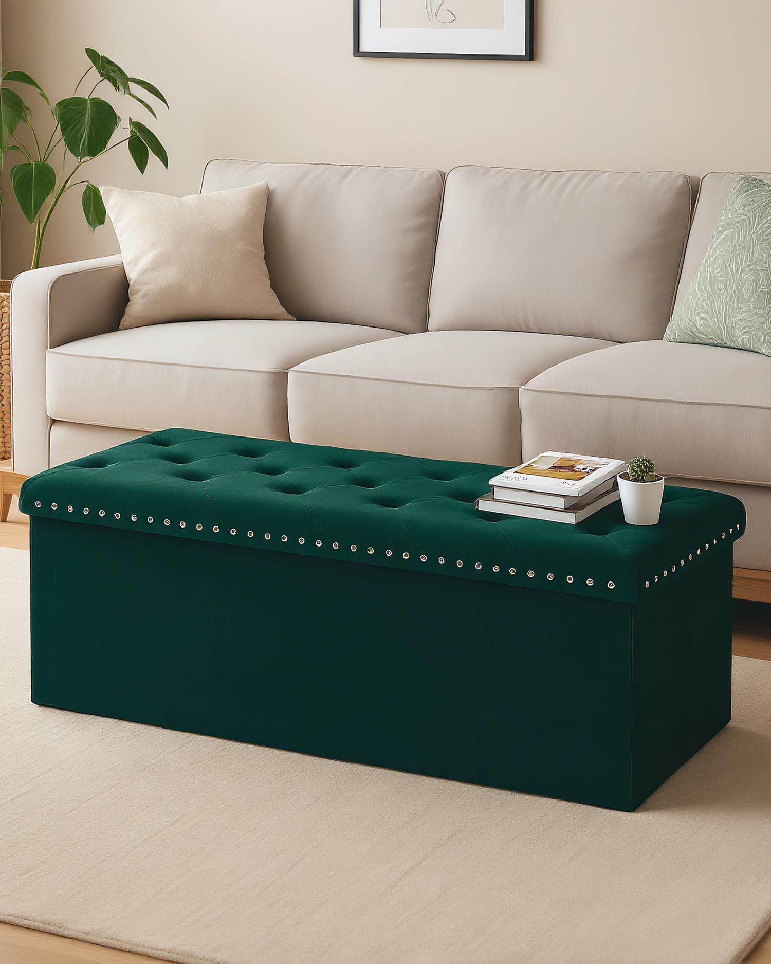 Velvet Storage Ottoman Bench
