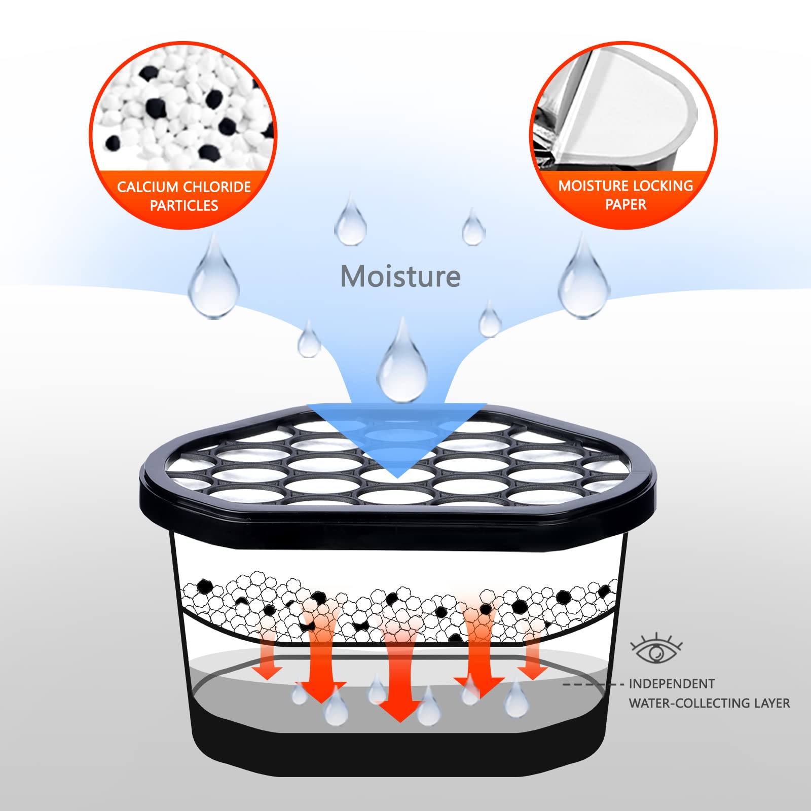 Moisture Absorber (6 Count)