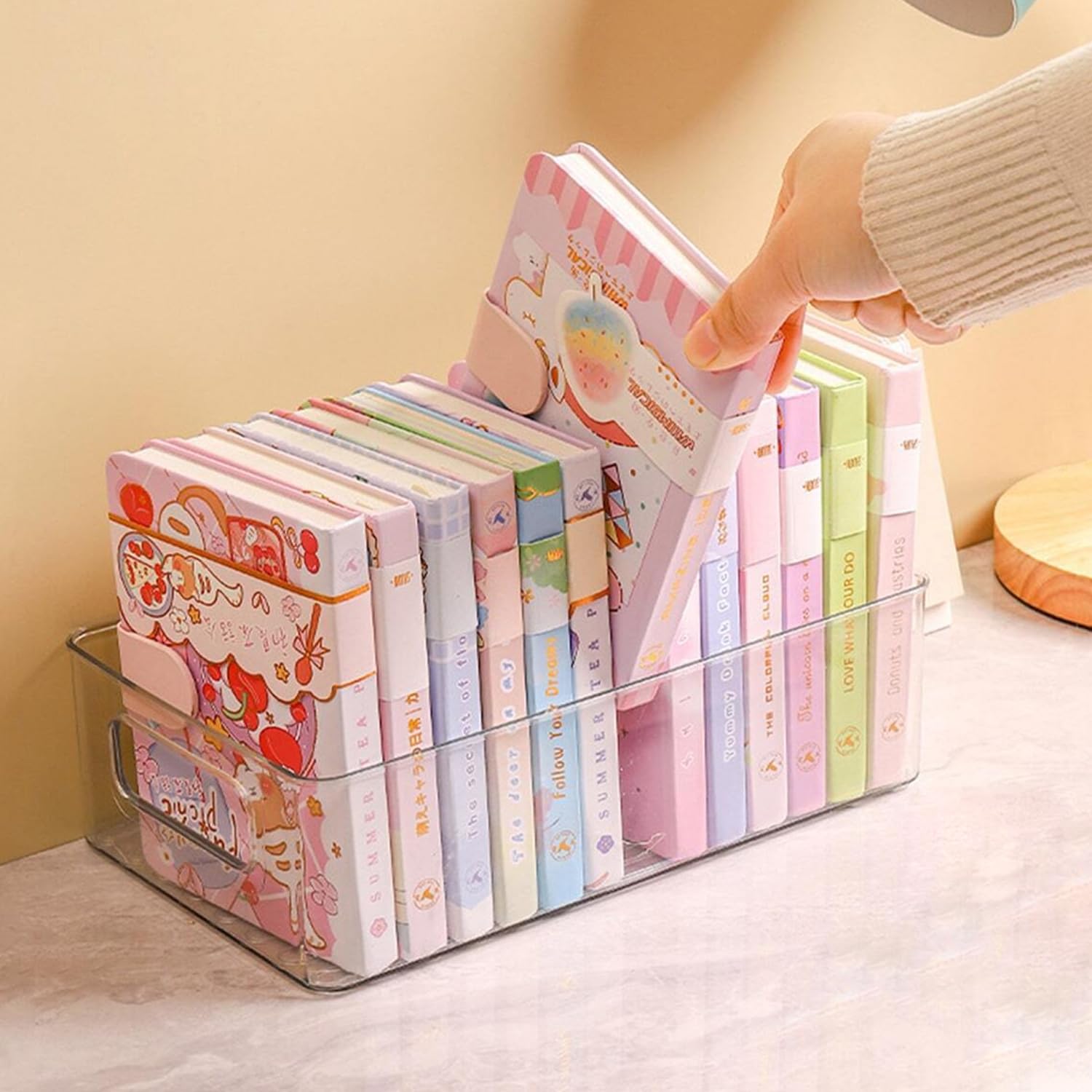Large Clear Plastic Storage Bins (4 Count)