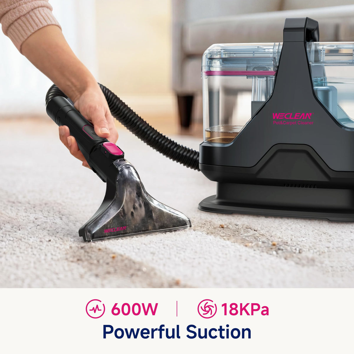 Portable Carpet Cleaner