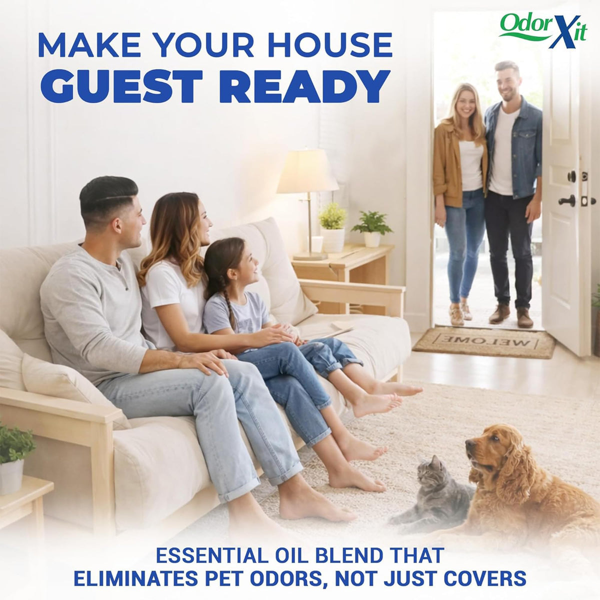 Concentrated Pet Urine Odor Eliminator (16 Fl Oz)