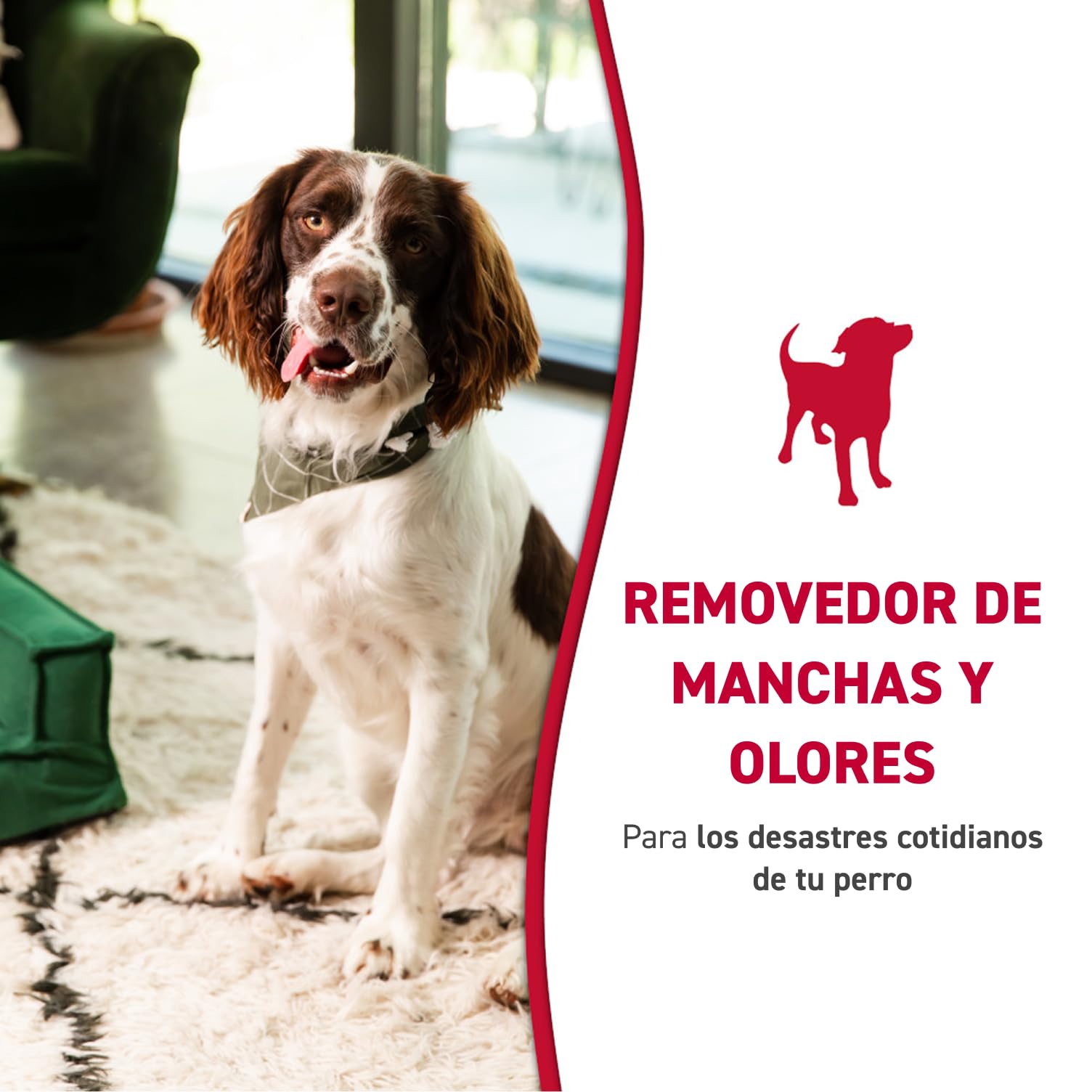 Nature’s Miracle Dog Stain & Odor Remover (128 Fl Oz)