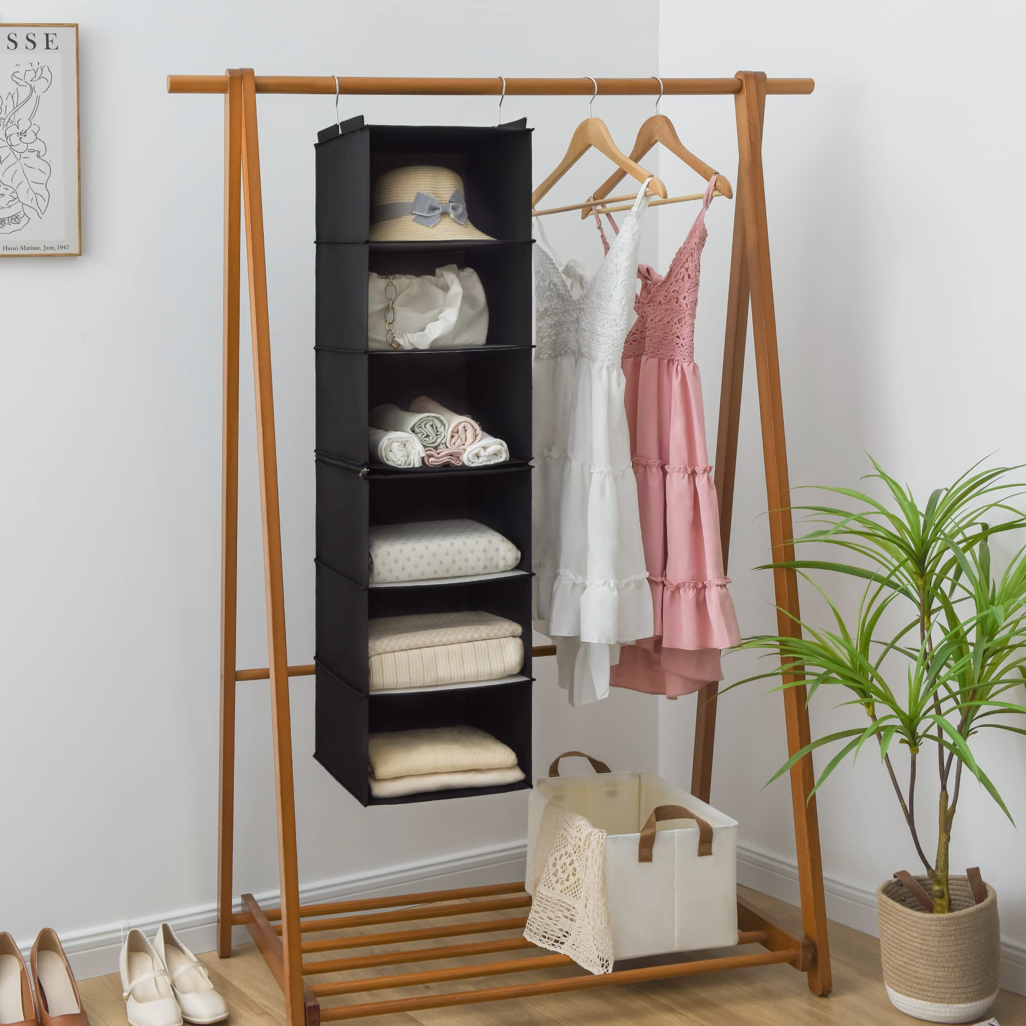 6 Shelf Hanging Closet Organizer