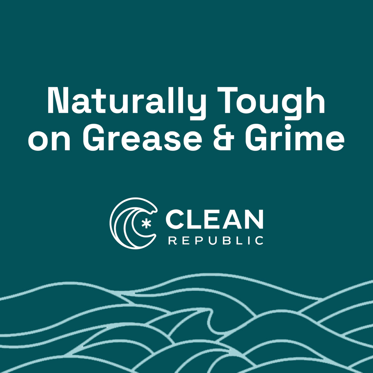 Heavy Duty Degreaser for Kitchen & Grills (512 Fl Oz)