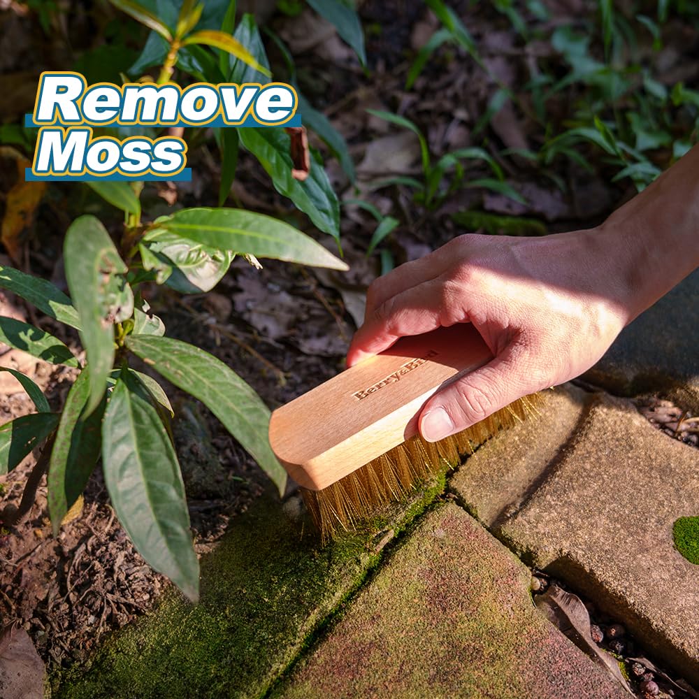 Brass Brush Ashwood Premium Brass Wire Brush for Cleaning